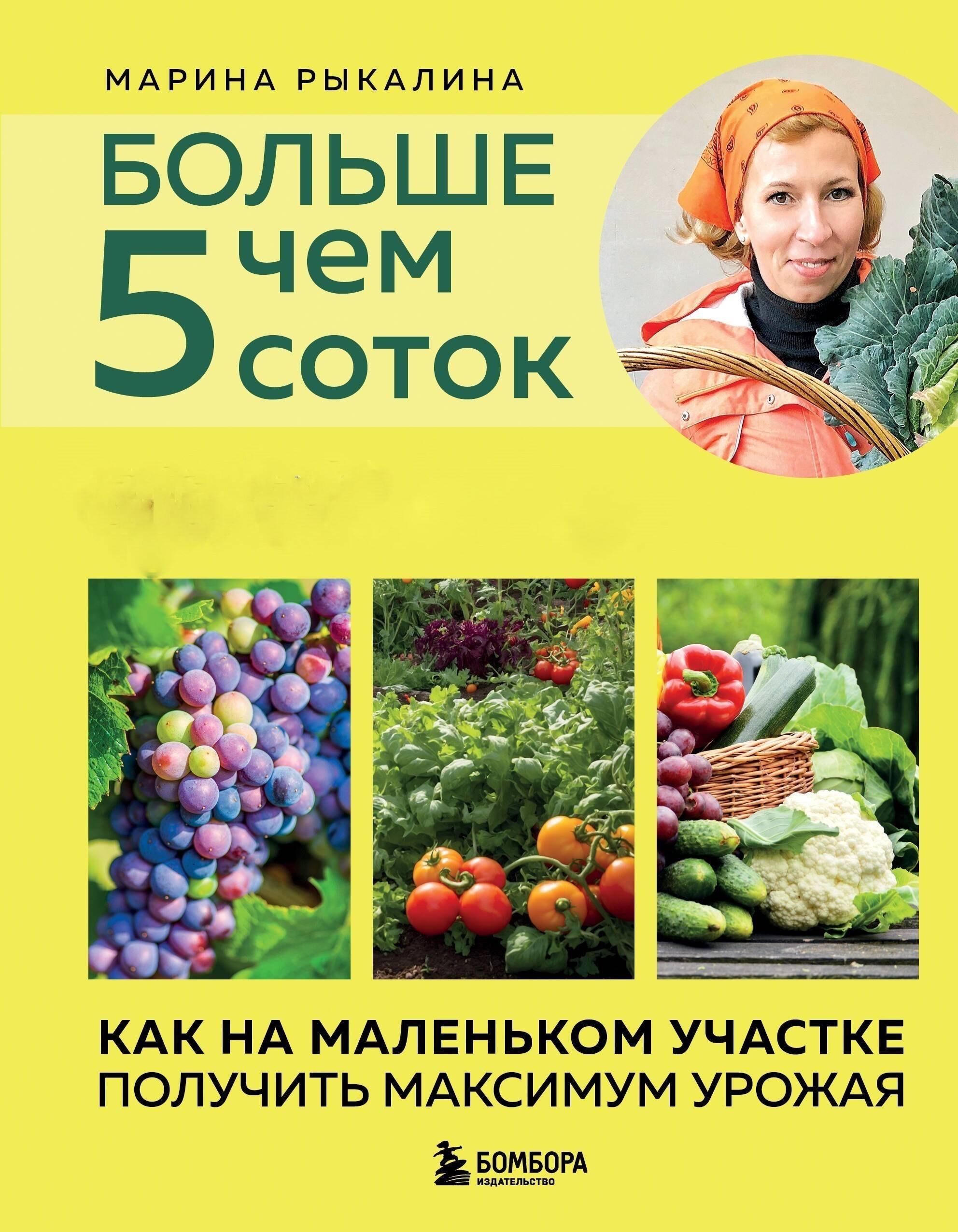 https://ndc.book24.ru/pim/products/images/24/0b/019cb266-b7e6-75d9-9baf-bf5c0fce240b.jpg