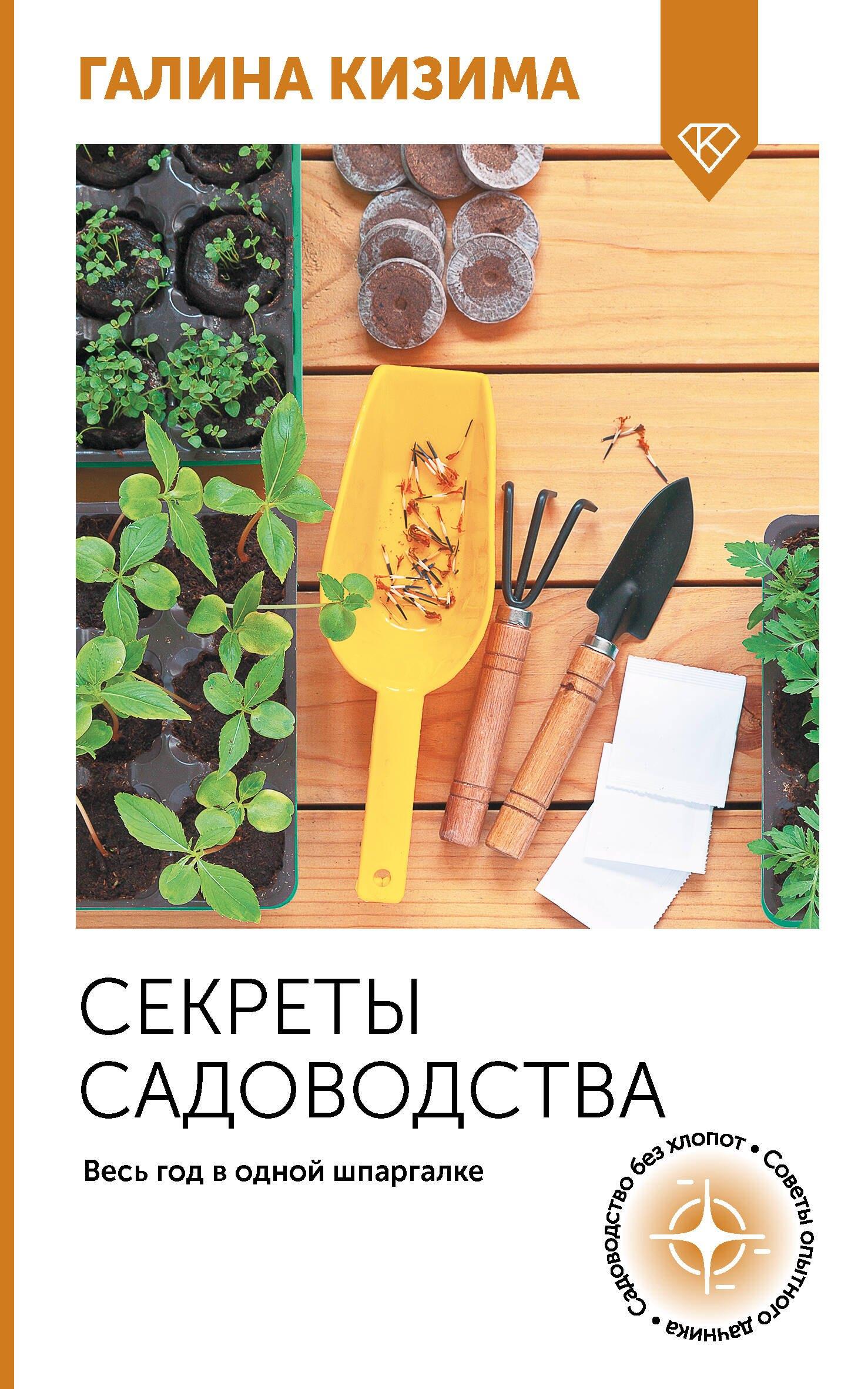 https://ndc.book24.ru/pim/products/images/25/c6/0194d4fc-df00-7ad0-a5e6-fad90caf25c6.jpg