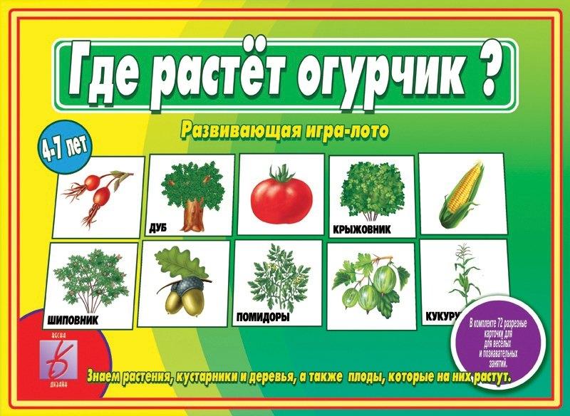 ИП Бурдина | Где растёт огурчик? Развивающая игра-лото