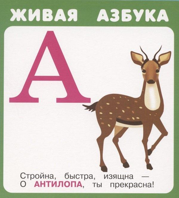 Искатель | Живая азбука. Набор карточек