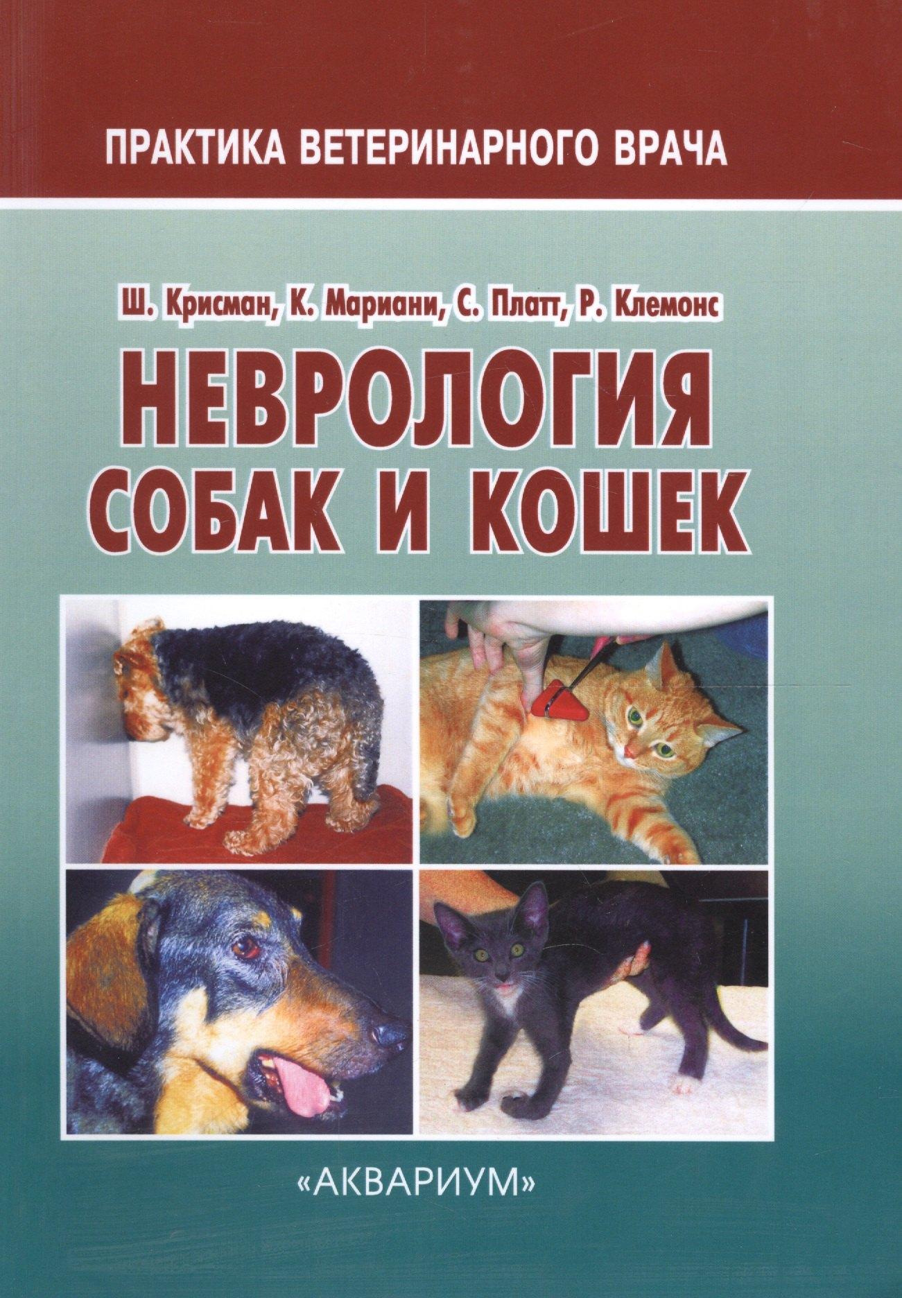 https://ndc.book24.ru/pim/products/images/2a/1f/018edf68-3ffd-7d17-97ce-caaf0a1c2a1f.jpg