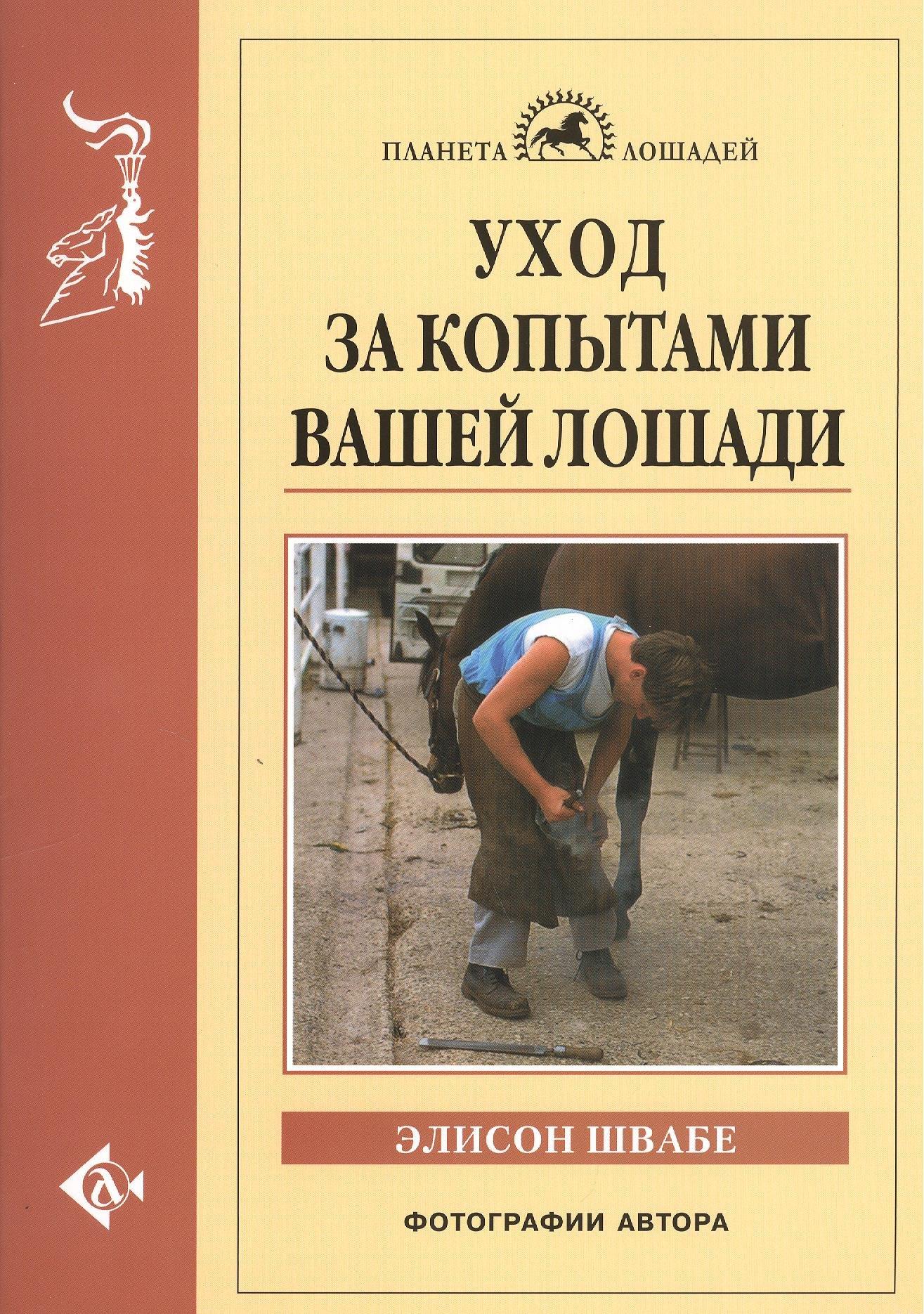 Уход за копытами вашей лошади