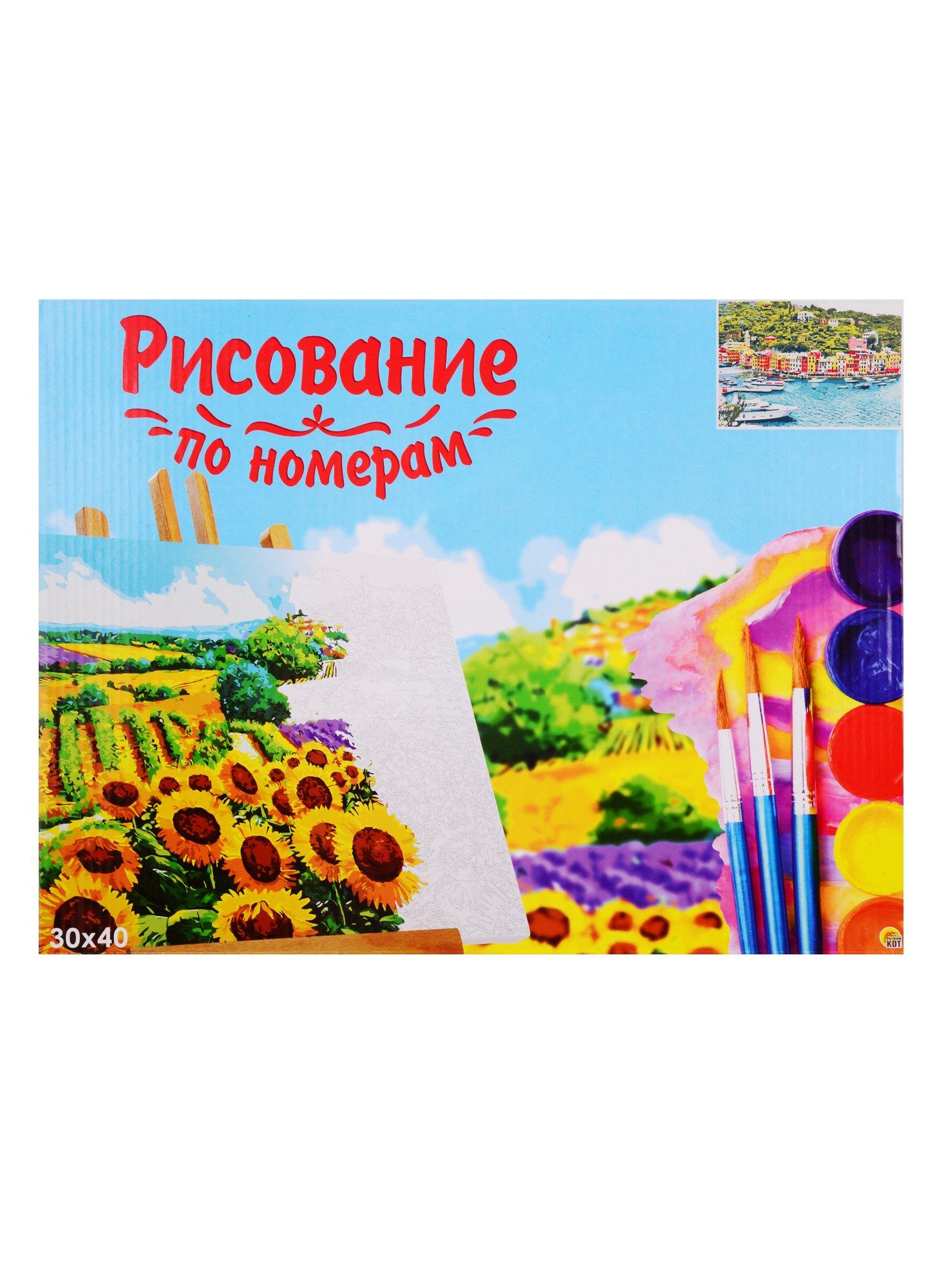 Набор для раскрашивания по номерам ТМ Рыжий Кот Холст Цветные домики на побережье 30х40см Х-9124