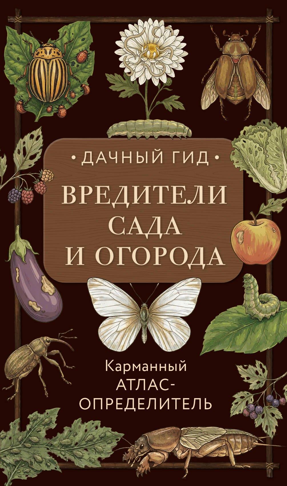 https://ndc.book24.ru/pim/products/images/34/3a/019b1162-9446-7339-bdc2-46d4f3e4343a.jpg