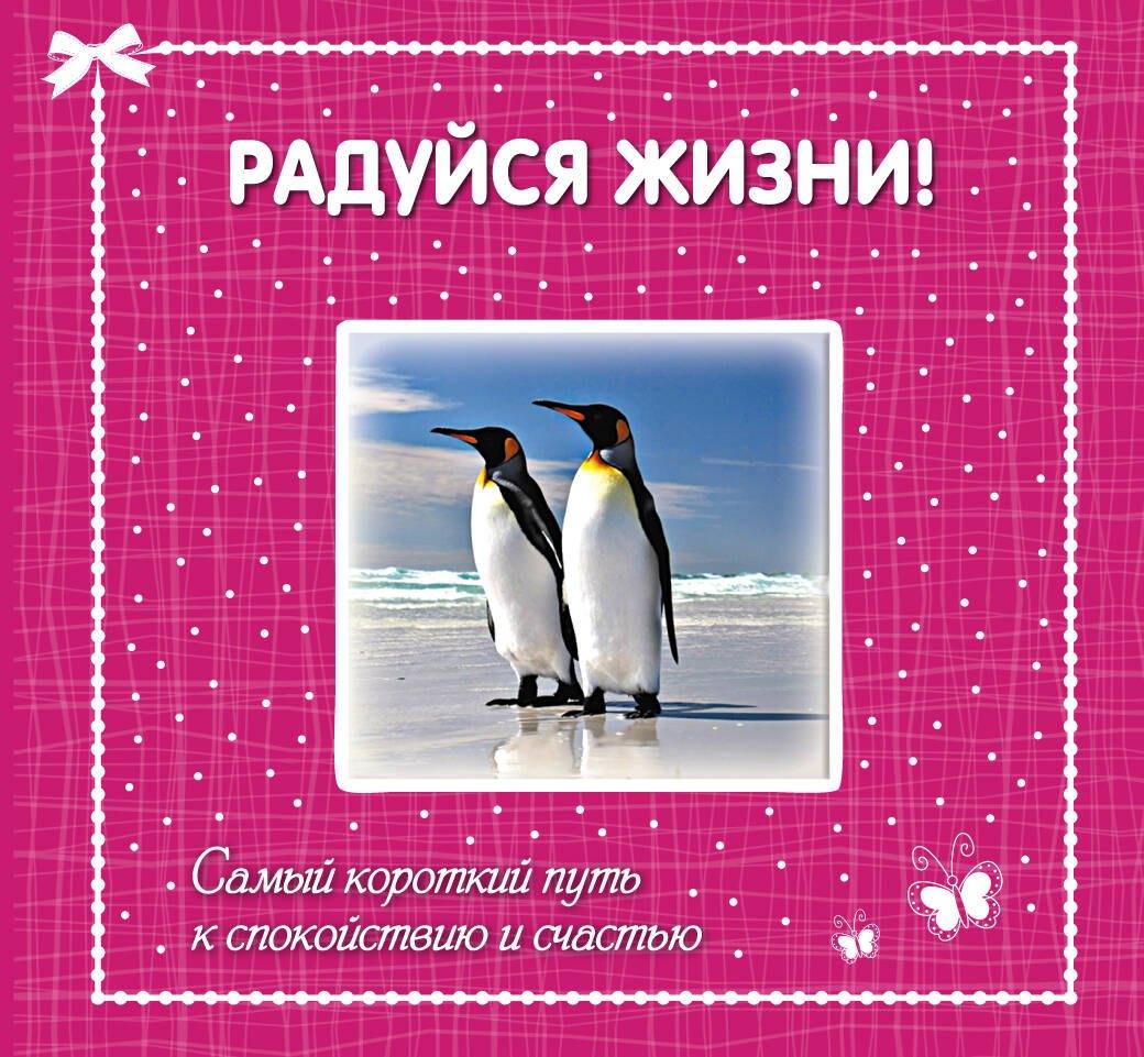 https://ndc.book24.ru/pim/products/images/34/68/019392e0-066d-76d0-9915-46b6d2733468.jpg