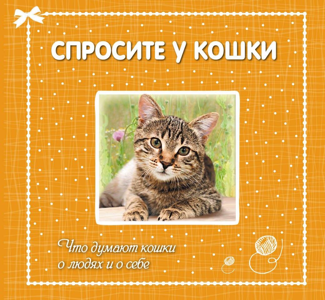 https://ndc.book24.ru/pim/products/images/39/a9/019392e0-0a72-779f-bc91-898e257c39a9.jpg