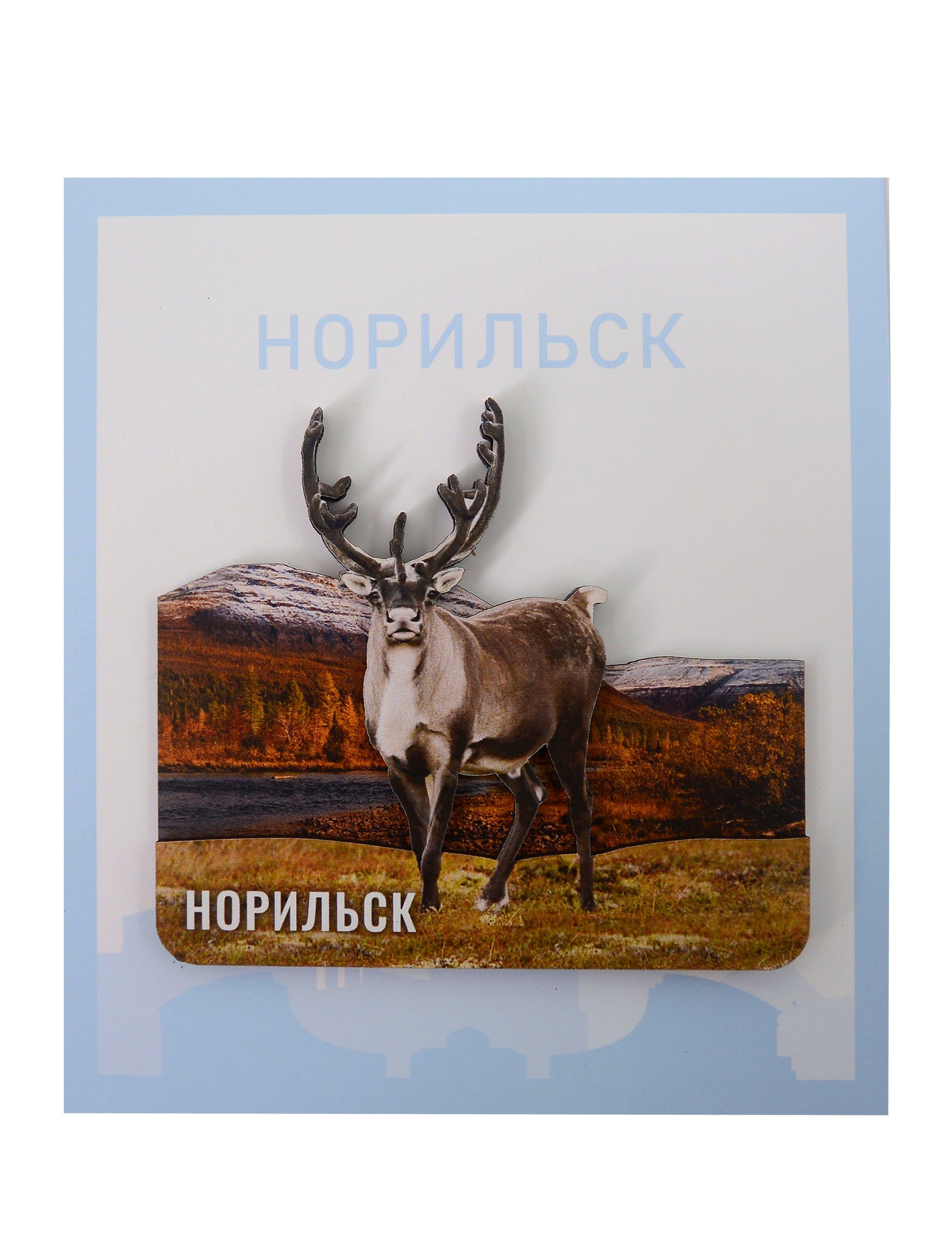 https://ndc.book24.ru/pim/products/images/39/b1/0199c98c-9de1-7f85-9809-acbbcd5039b1.jpg