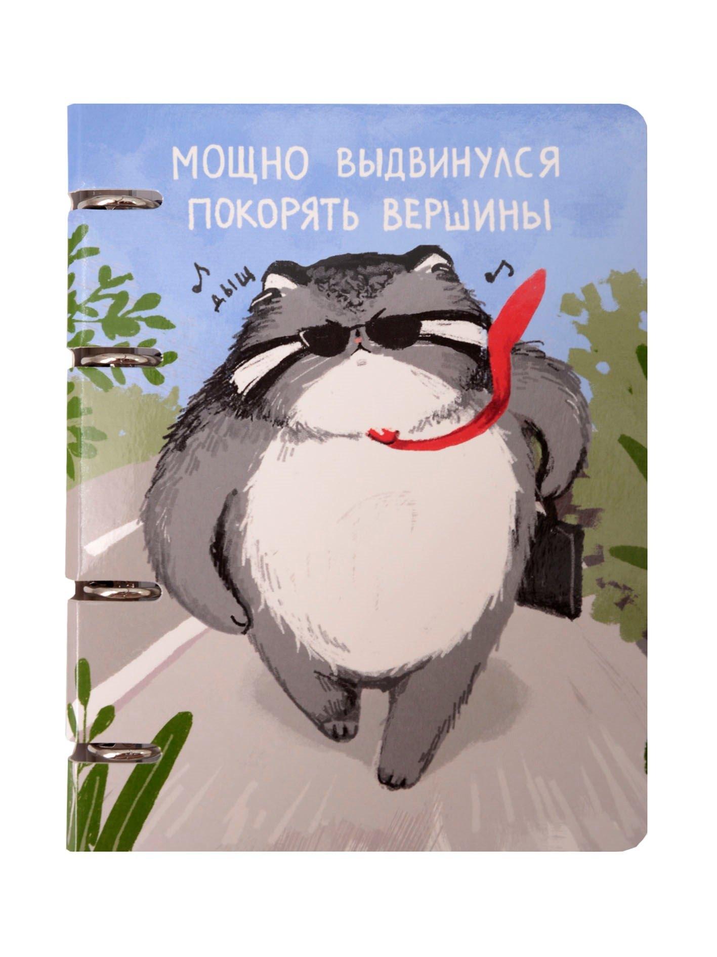 https://ndc.book24.ru/pim/products/images/39/c5/01990f52-ef90-7d0f-8ba7-9b6c673a39c5.jpg