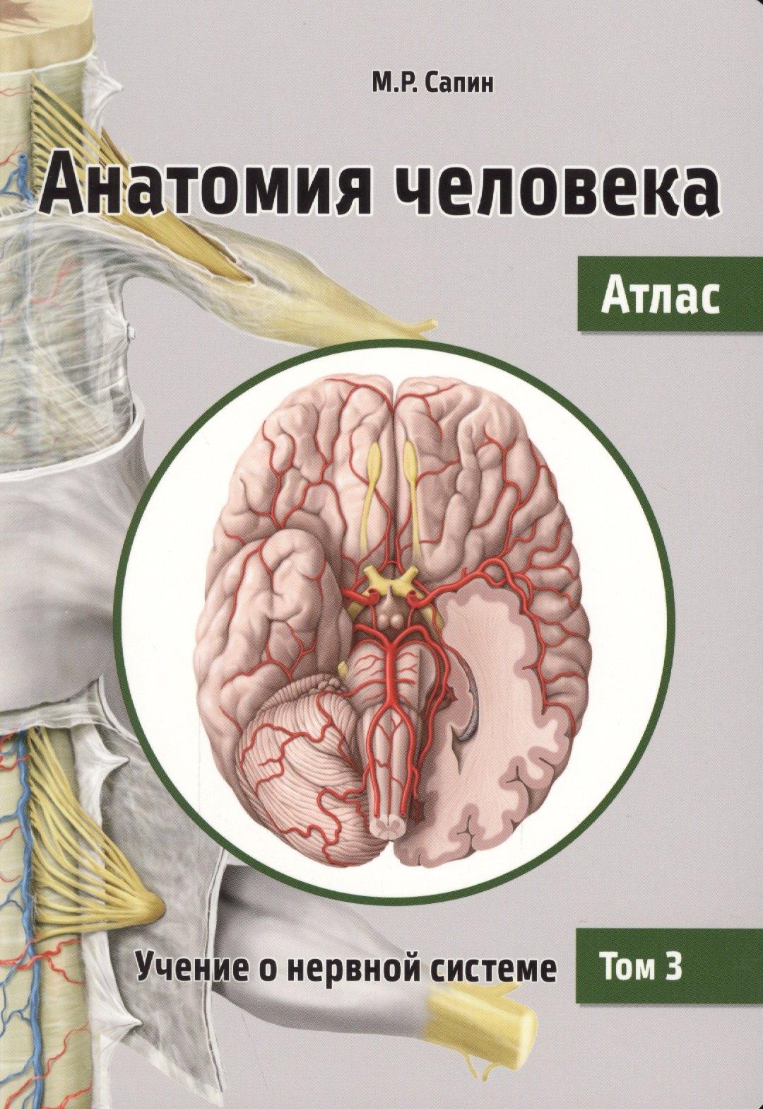 Практическая медицина | Анатомия человека. Атлас. Учебное пособие. В 3 томах. Том 3: Учение о нервной системе. 2-е изд., перераб.
