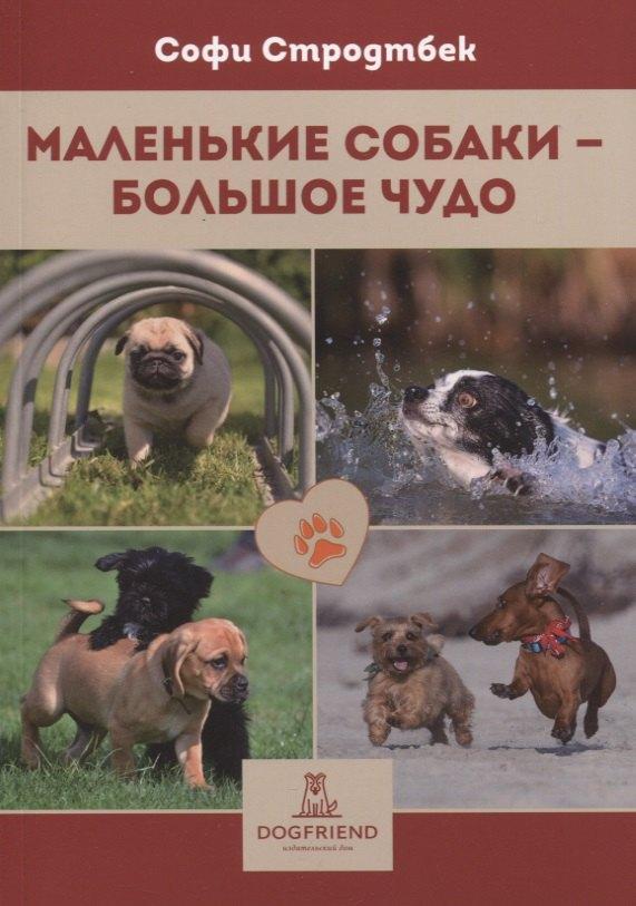 https://ndc.book24.ru/pim/products/images/3c/42/018ee36a-8224-73d2-b247-75c74db03c42.jpg