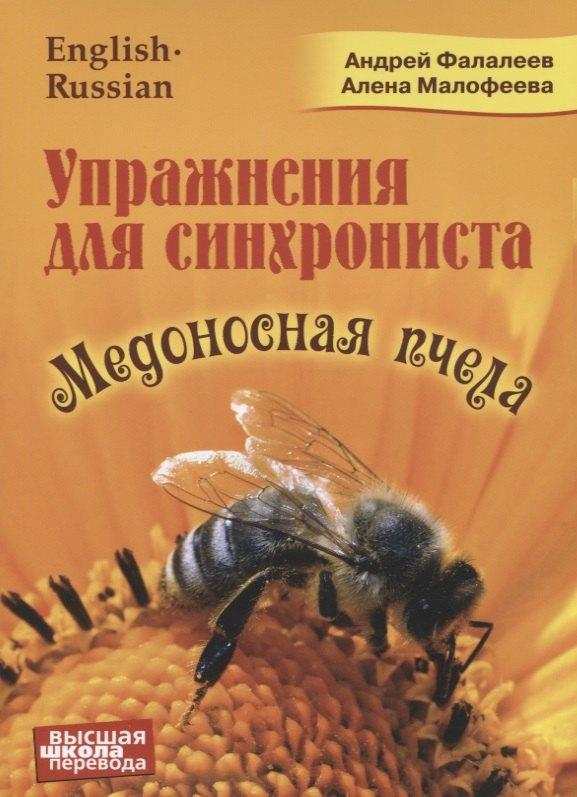 Перспектива | Упражнения для синхрониста. Медоносная пчела
