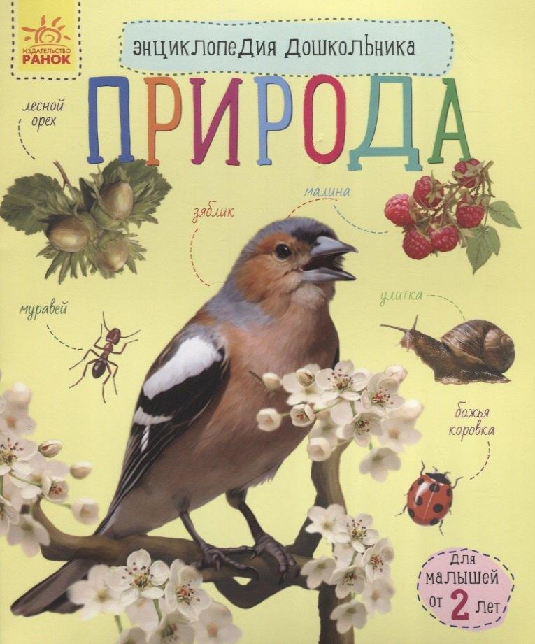 Ранок | Познаем и исследуем Природа