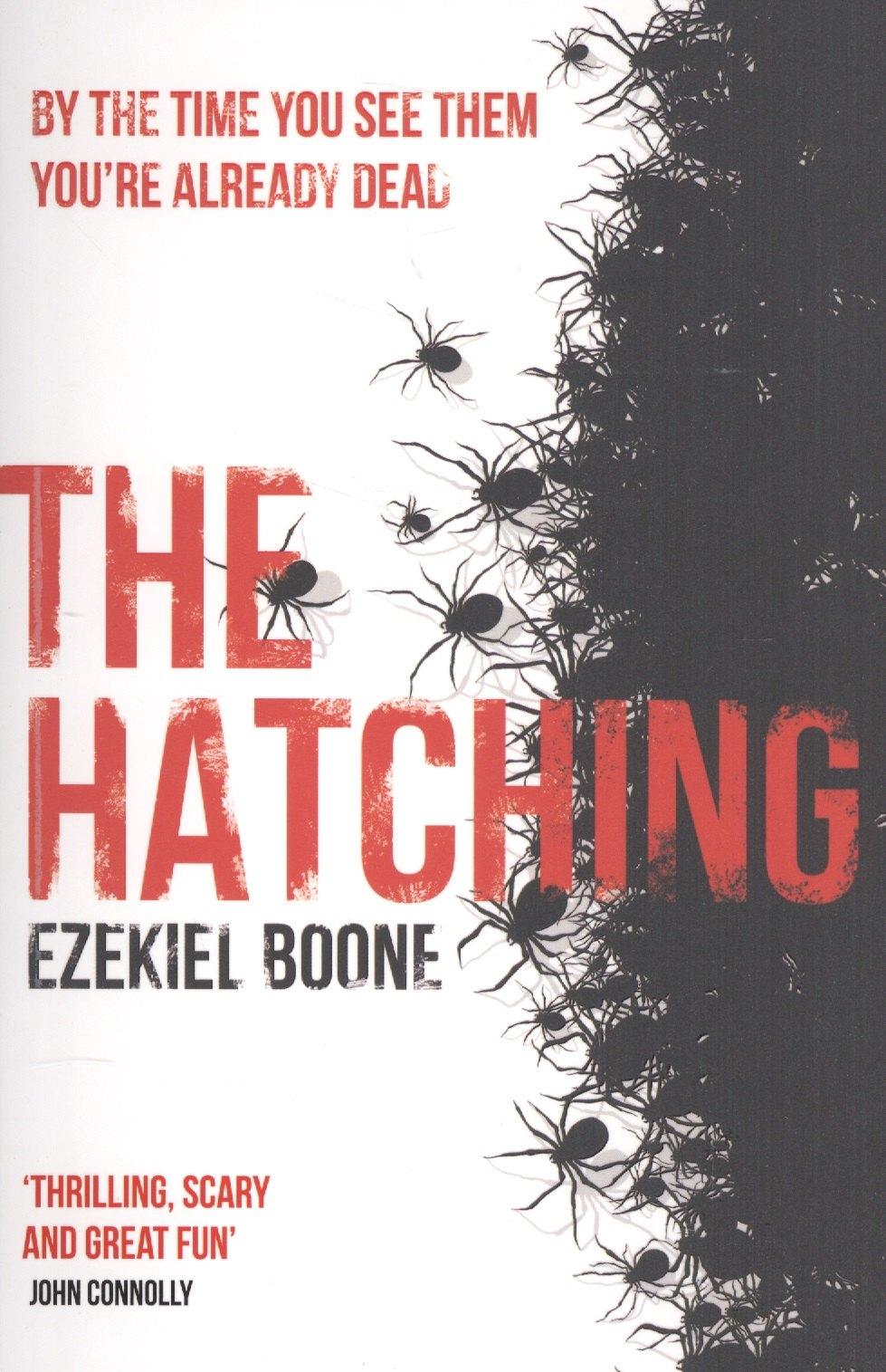 Hachette | The Hatching