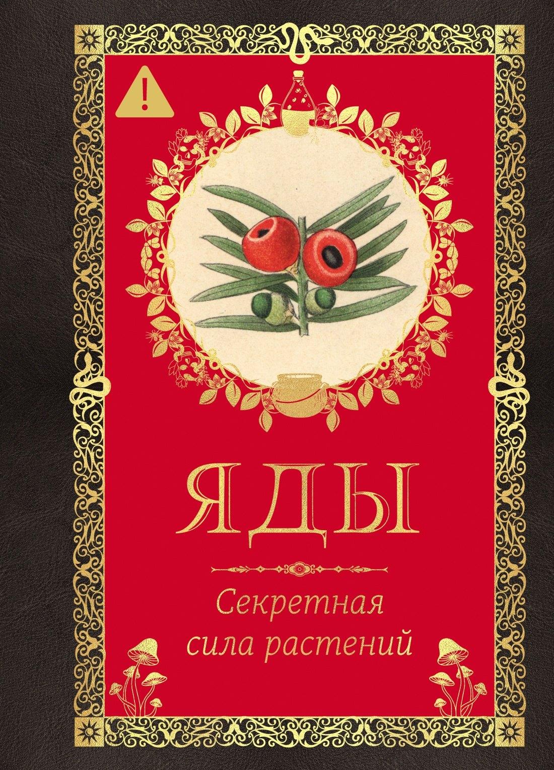 https://ndc.book24.ru/pim/products/images/40/34/01992bf0-0c6c-75f0-9dc7-7d7facae4034.jpg