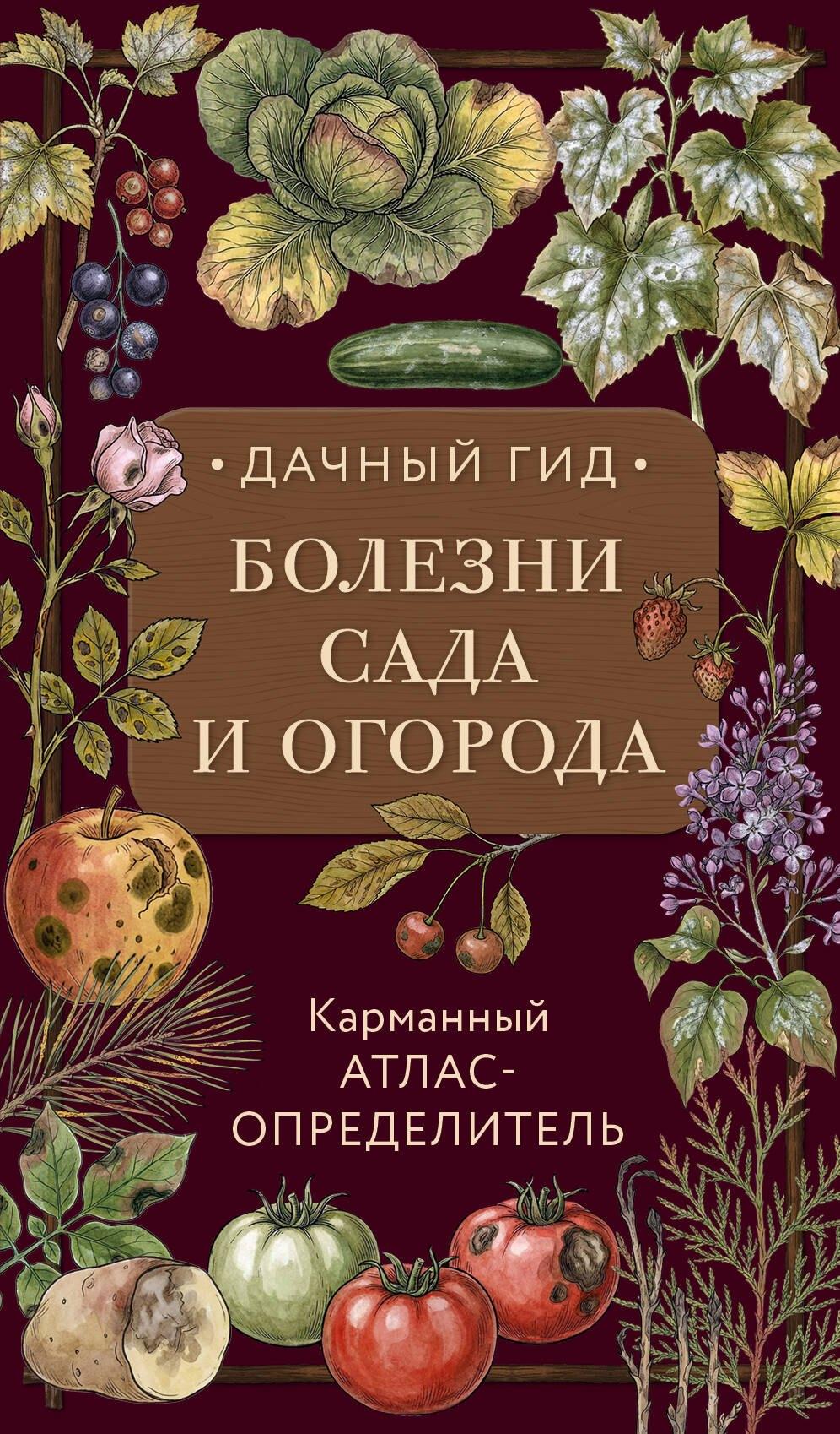 https://ndc.book24.ru/pim/products/images/44/b5/019b3590-0e9f-780c-acd6-966e90f444b5.jpg