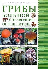 https://ndc.book24.ru/pim/products/images/46/b9/0199ecdf-d04c-7fca-b6de-5076ce9946b9.jpg