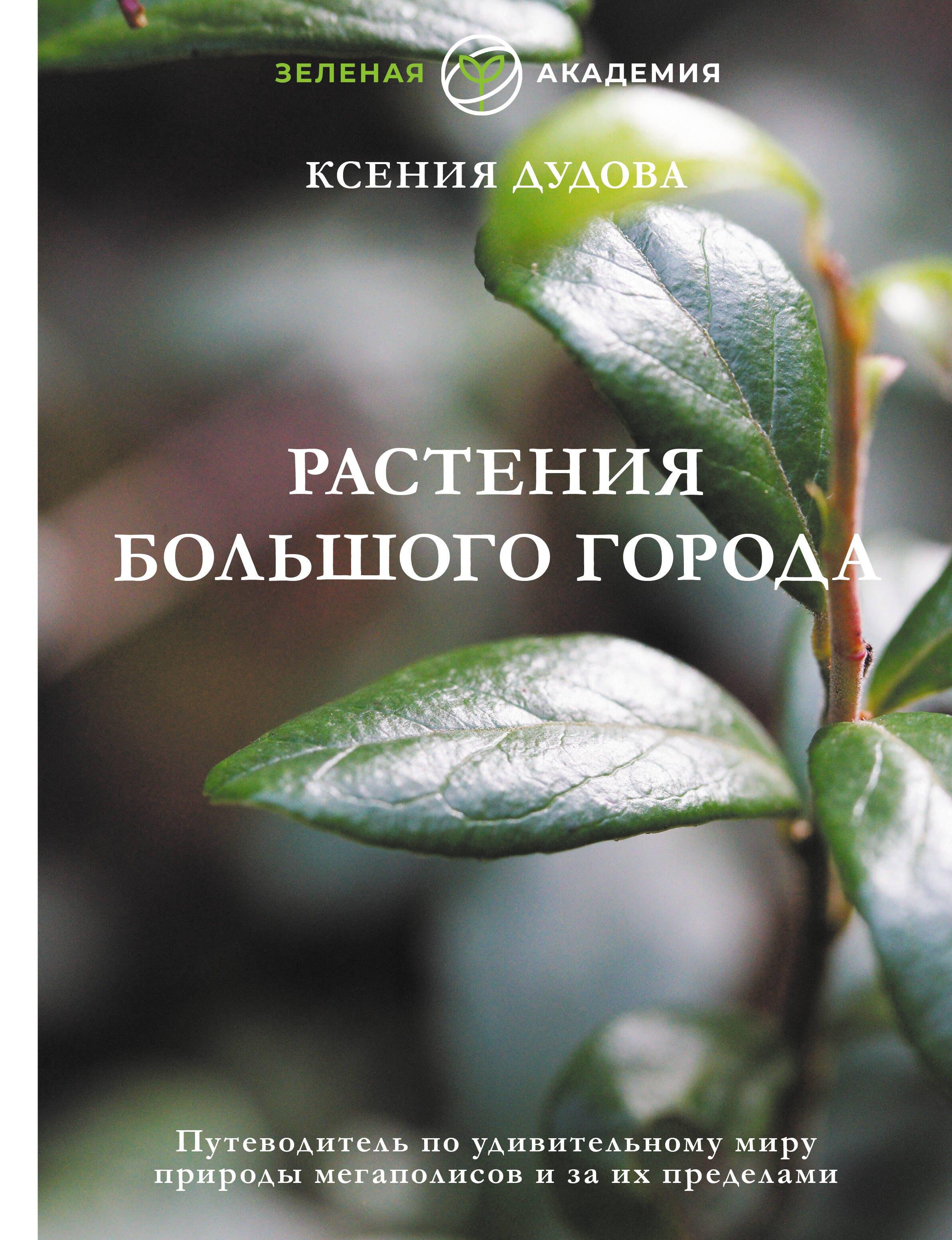 https://ndc.book24.ru/pim/products/images/49/14/0195efec-38d0-758e-878d-1c7d809b4914.jpg