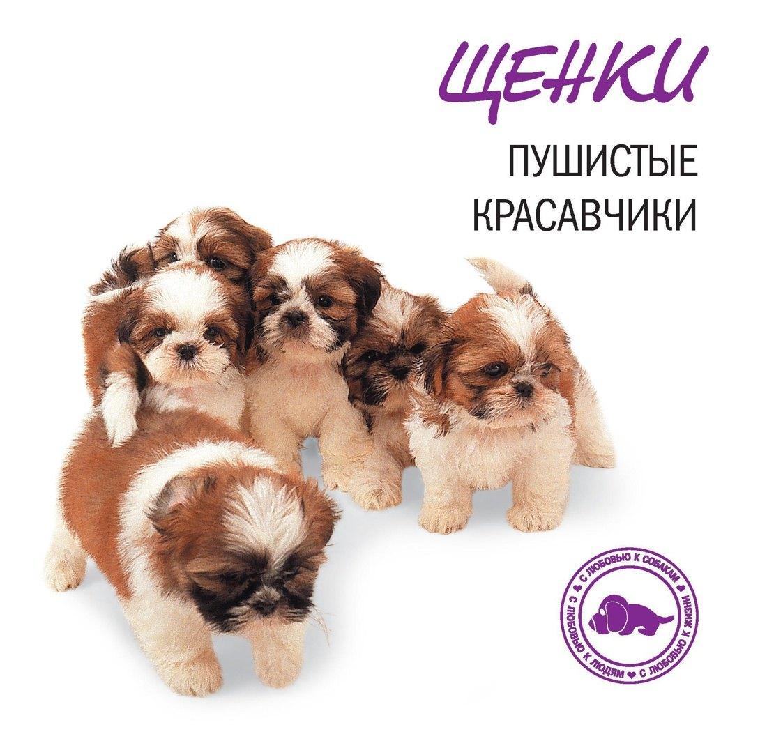 https://ndc.book24.ru/pim/products/images/4a/5b/018f5d10-8f46-79de-bc87-51ff30f94a5b.jpg