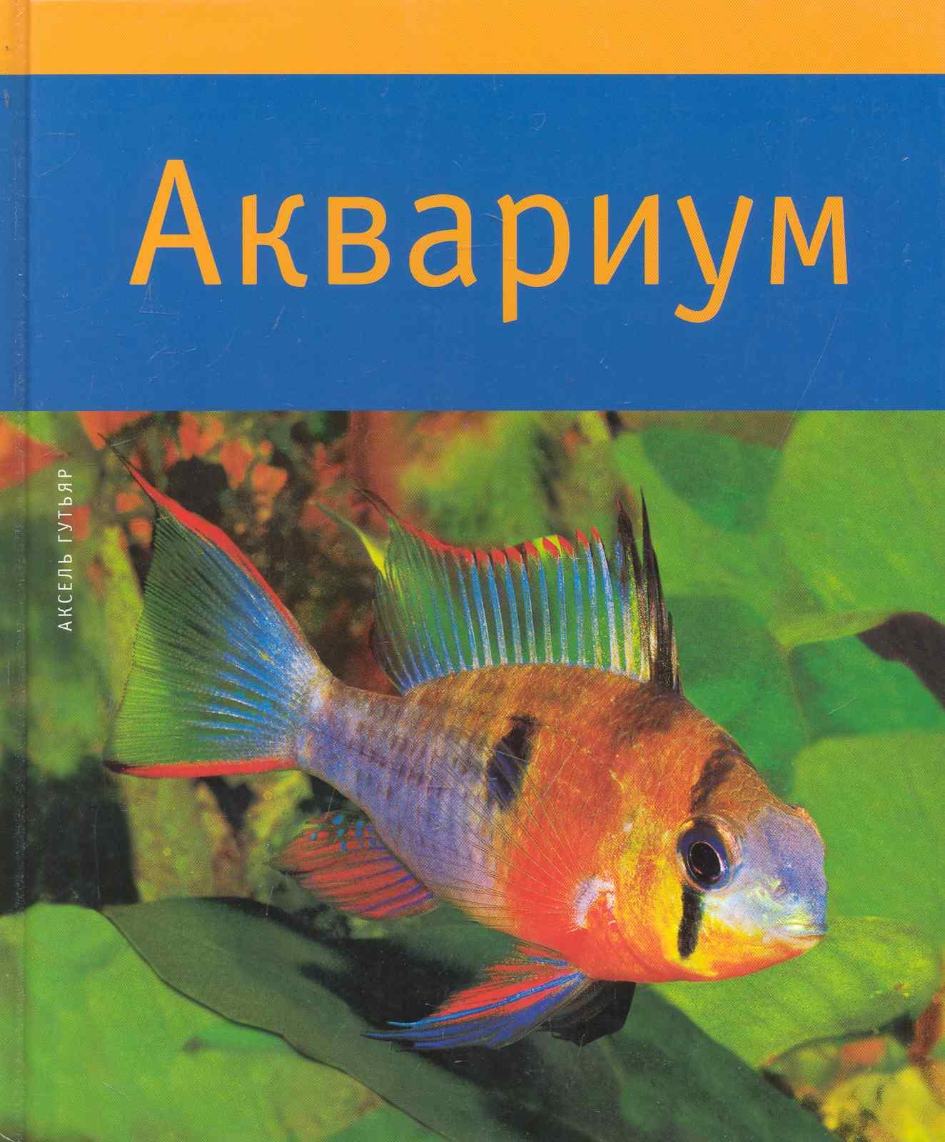 Белый город | Аквариум
