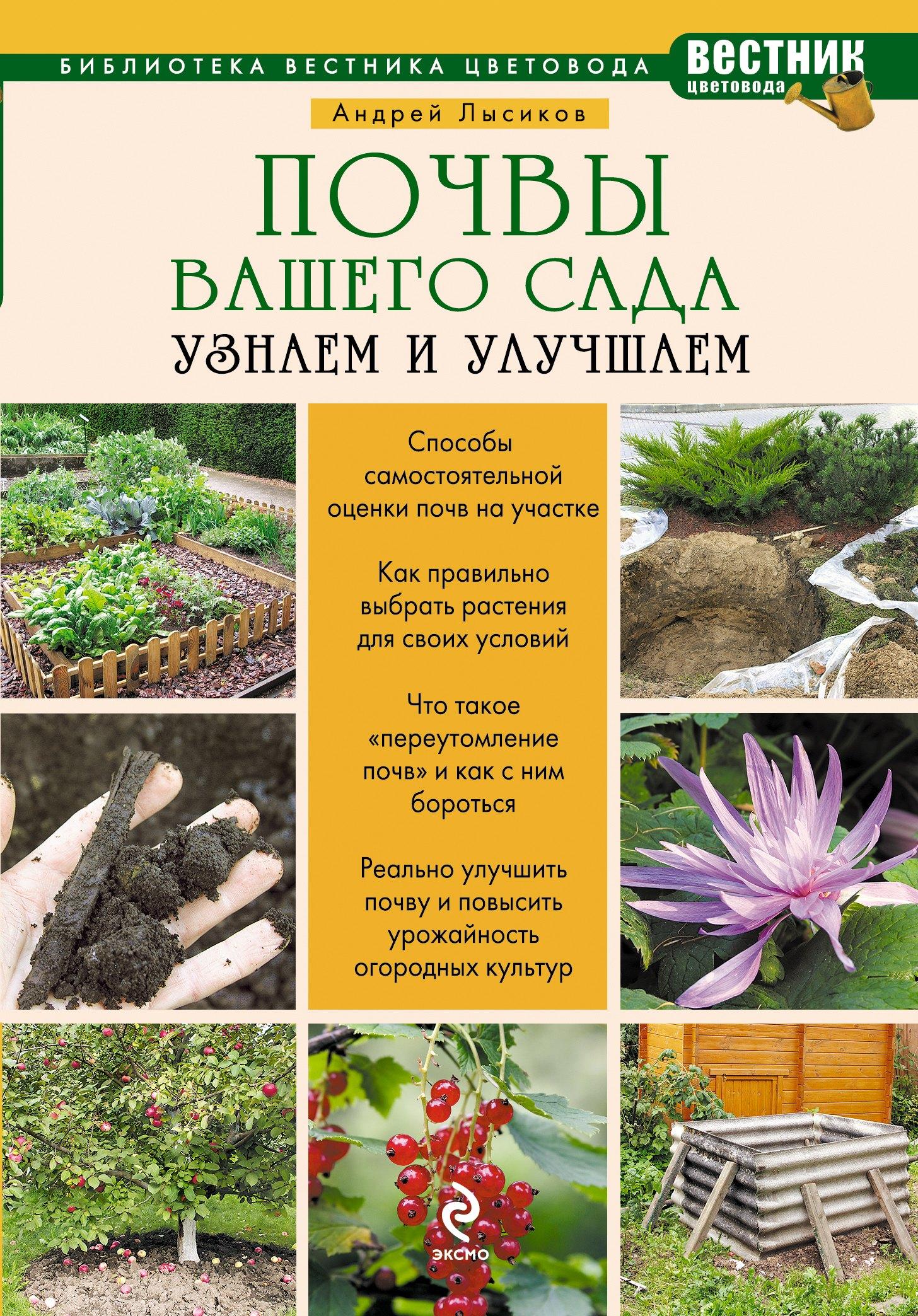 https://ndc.book24.ru/pim/products/images/4c/53/01907cc4-bc43-7be2-9759-d0d922924c53.jpg