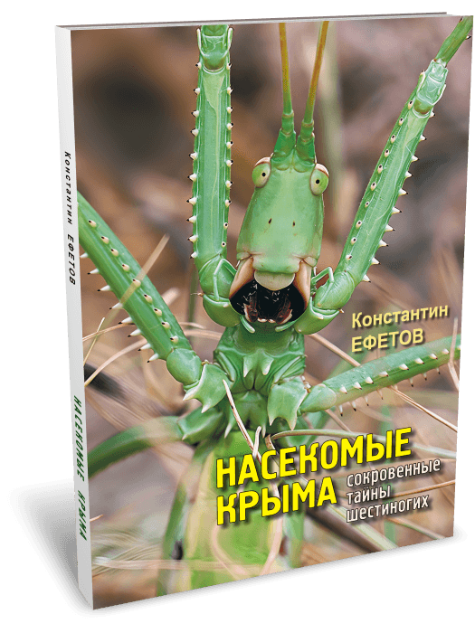 https://ndc.book24.ru/pim/products/images/4d/77/019c09d6-935b-7820-a2c3-681ede804d77.png