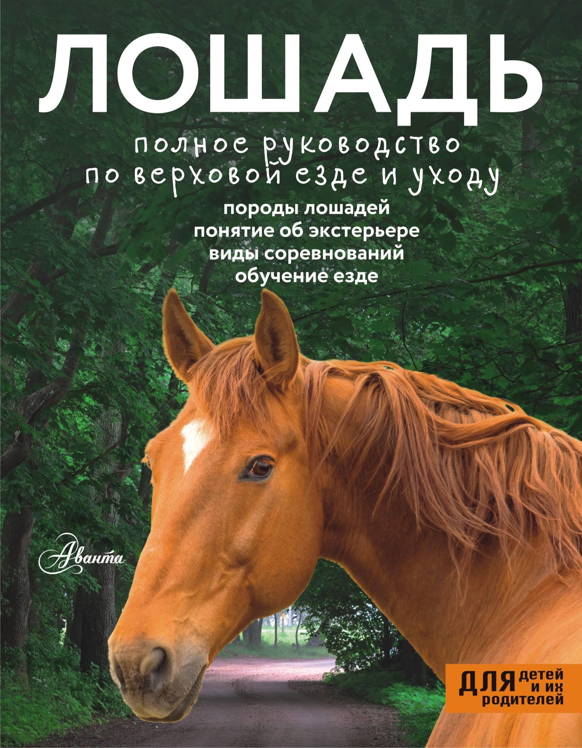 https://ndc.book24.ru/pim/products/images/4e/31/0195bc91-d655-7662-b252-908694da4e31.jpg