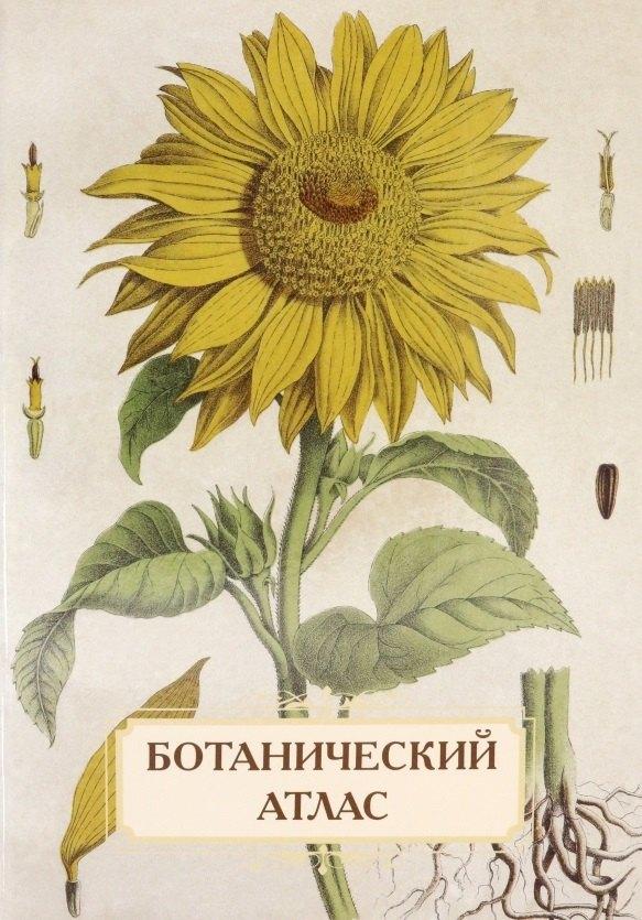 Белый город | Ботанический атлас. Н.П. Животовский