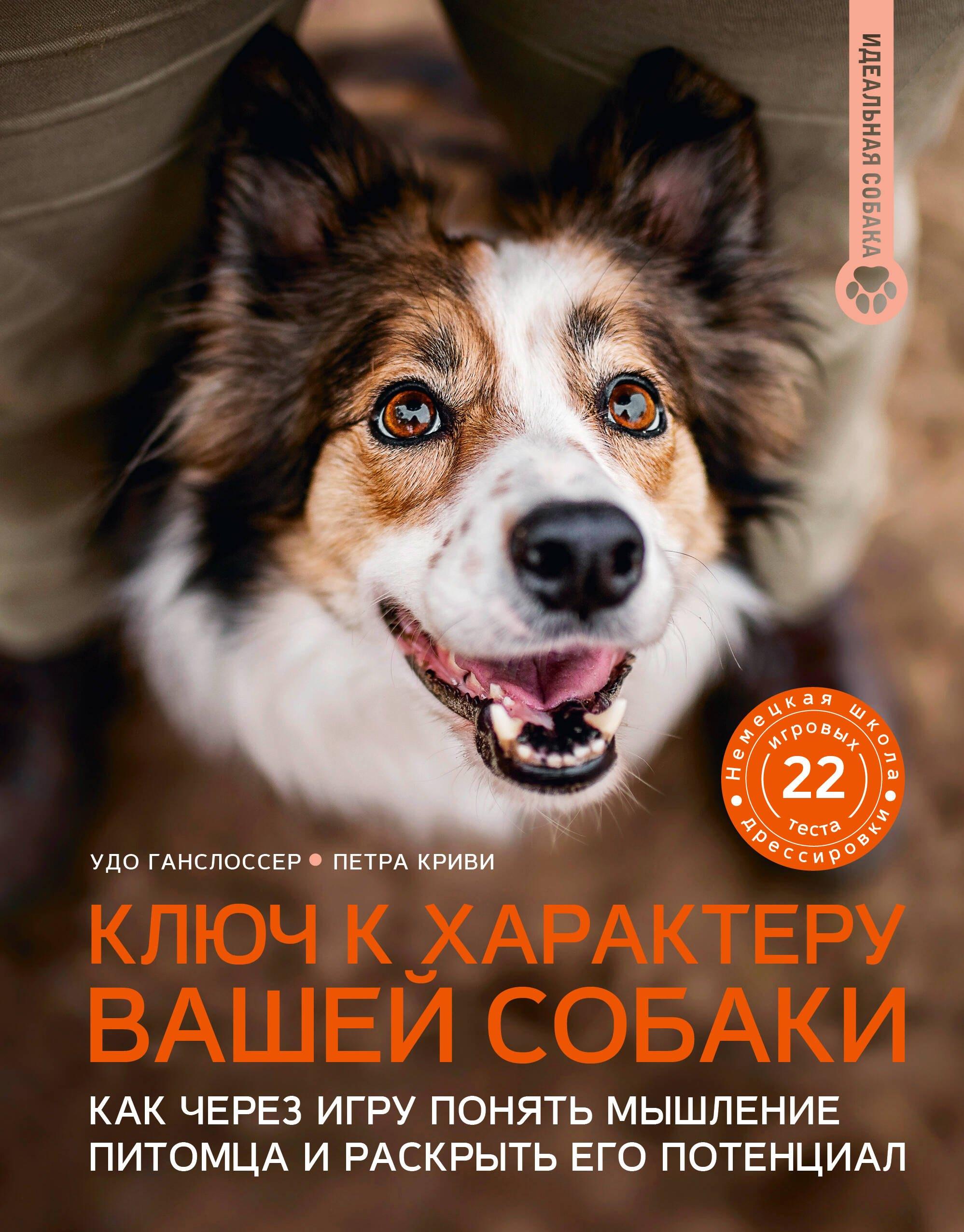 https://ndc.book24.ru/pim/products/images/51/06/019b3abf-fe81-787b-b6dd-91c8785b5106.jpg