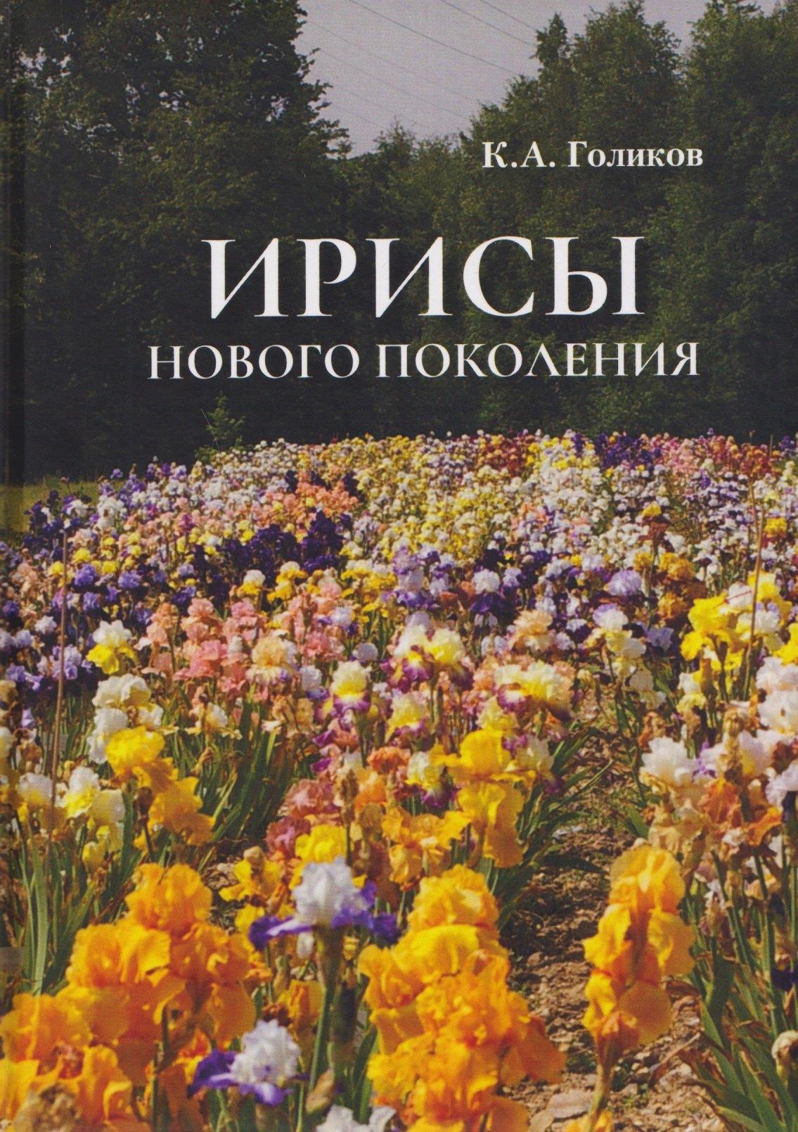 https://ndc.book24.ru/pim/products/images/51/5e/019d480a-70eb-769e-a6e5-3bb751a0515e.jpg