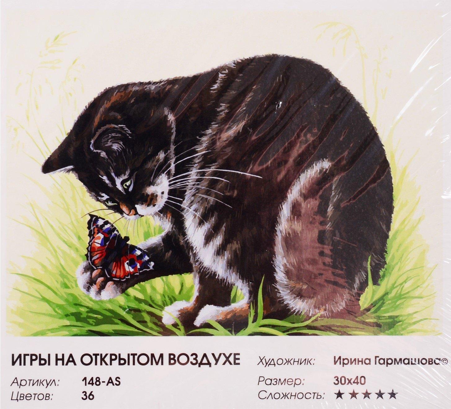 Набор для творчества Белоснежка Живопись на холсте Игры на открытом воздухе 30х40см 148-AS