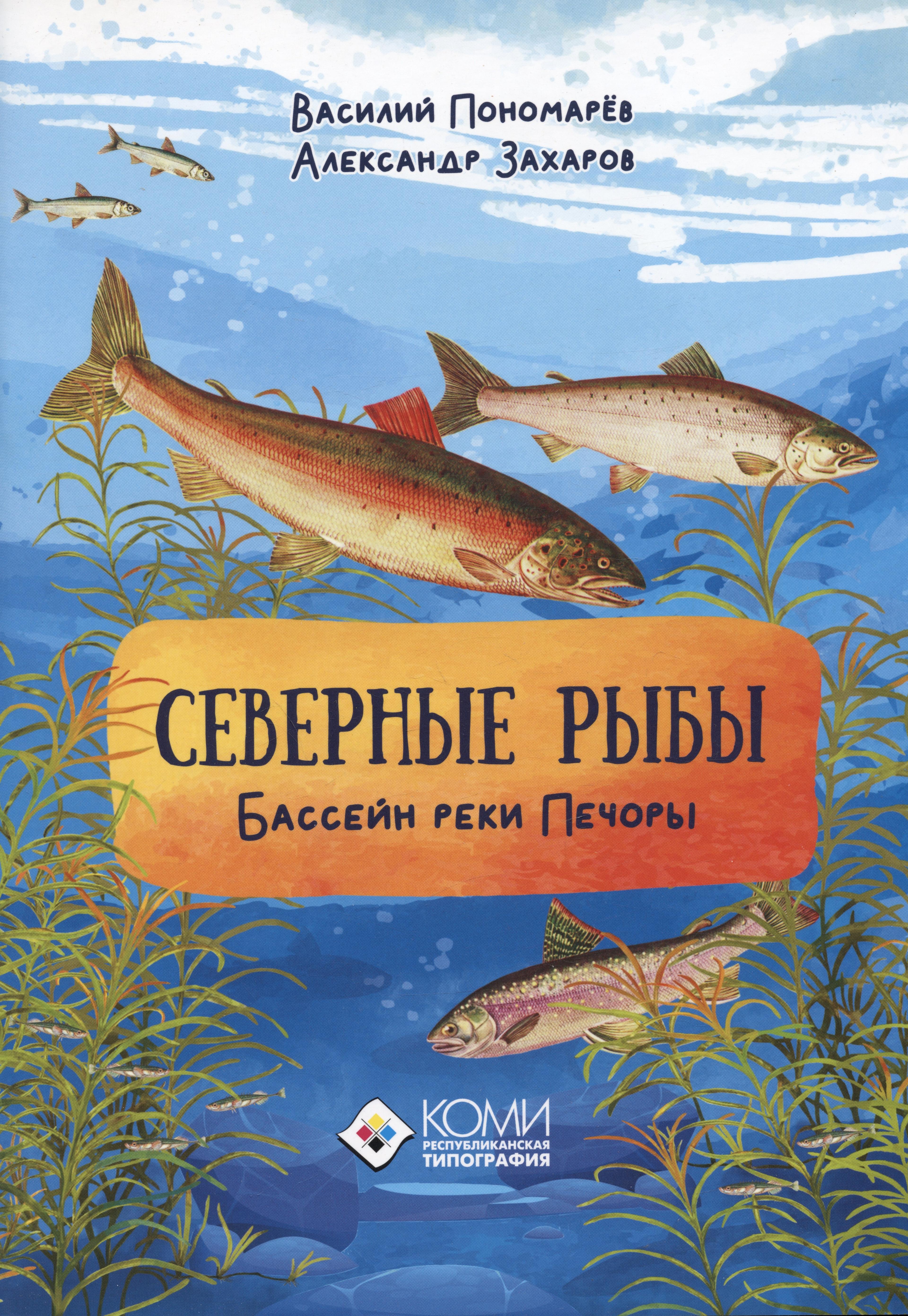 ООО "Коми республиканская типо | Северные рыбы. Бассейн реки Печора