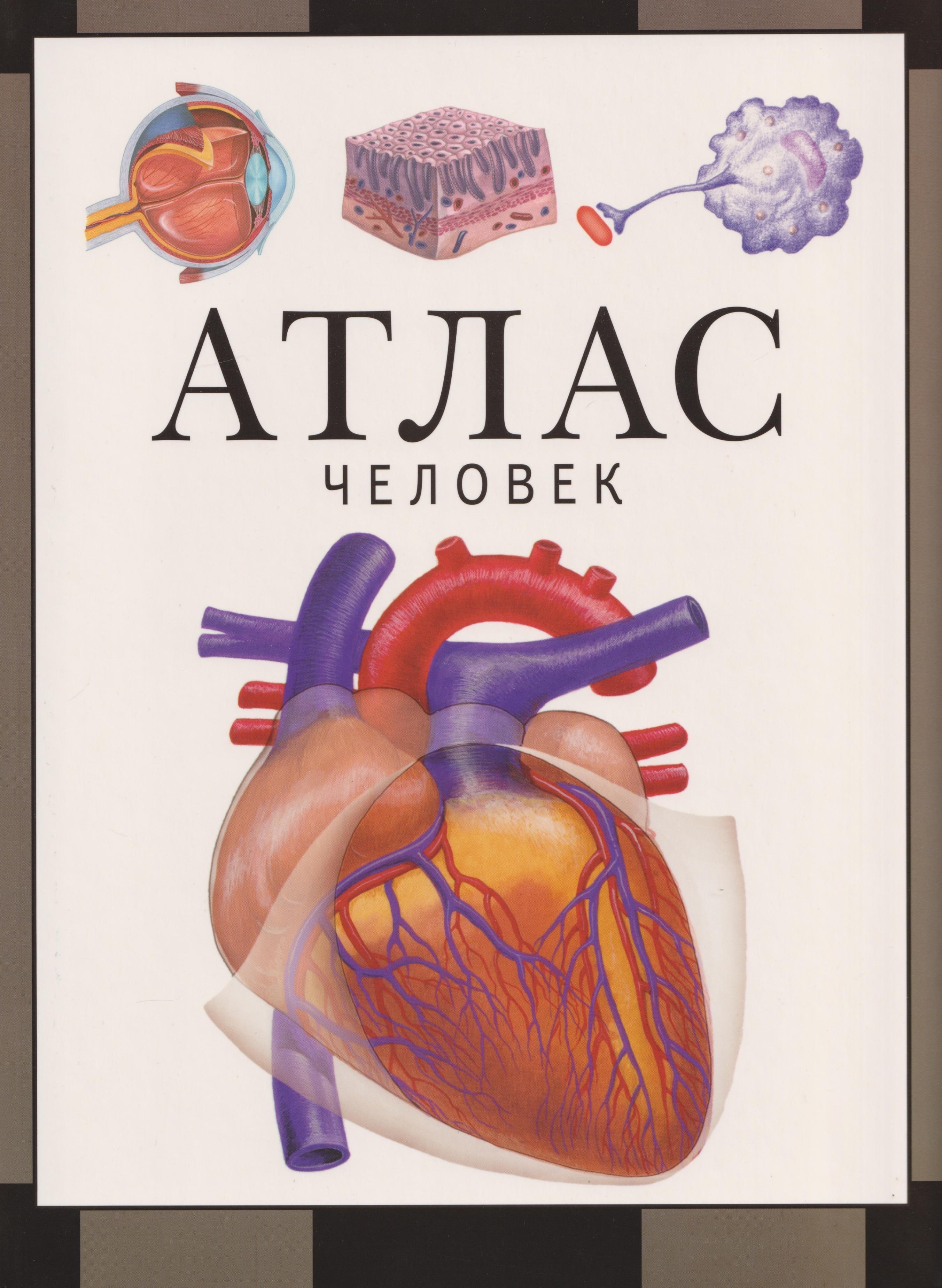 https://ndc.book24.ru/pim/products/images/54/59/019c7b66-b74e-7e9e-8192-1b3b5f2f5459.jpg