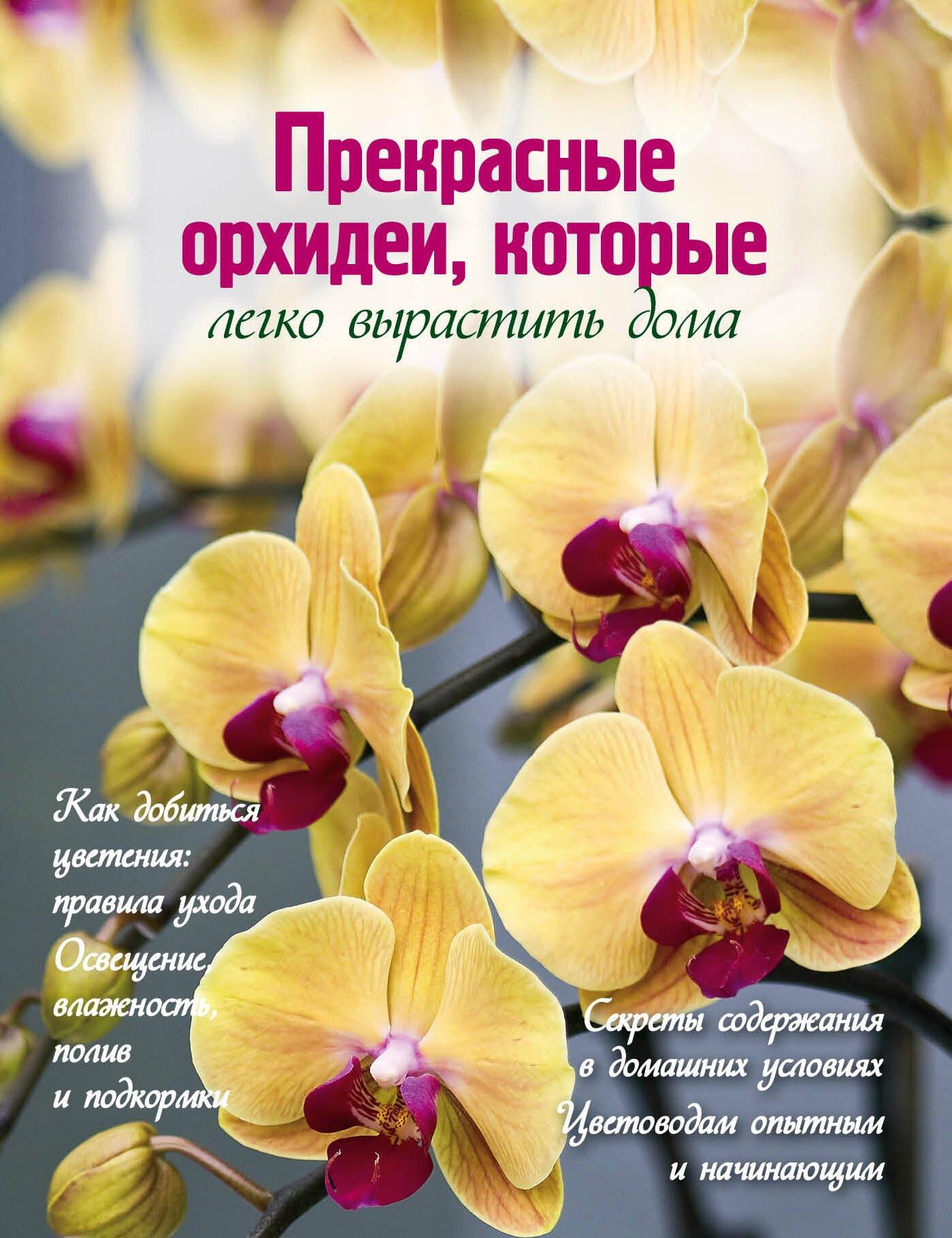 https://ndc.book24.ru/pim/products/images/55/86/01940b65-e07b-7016-a368-416f6aa65586.jpg