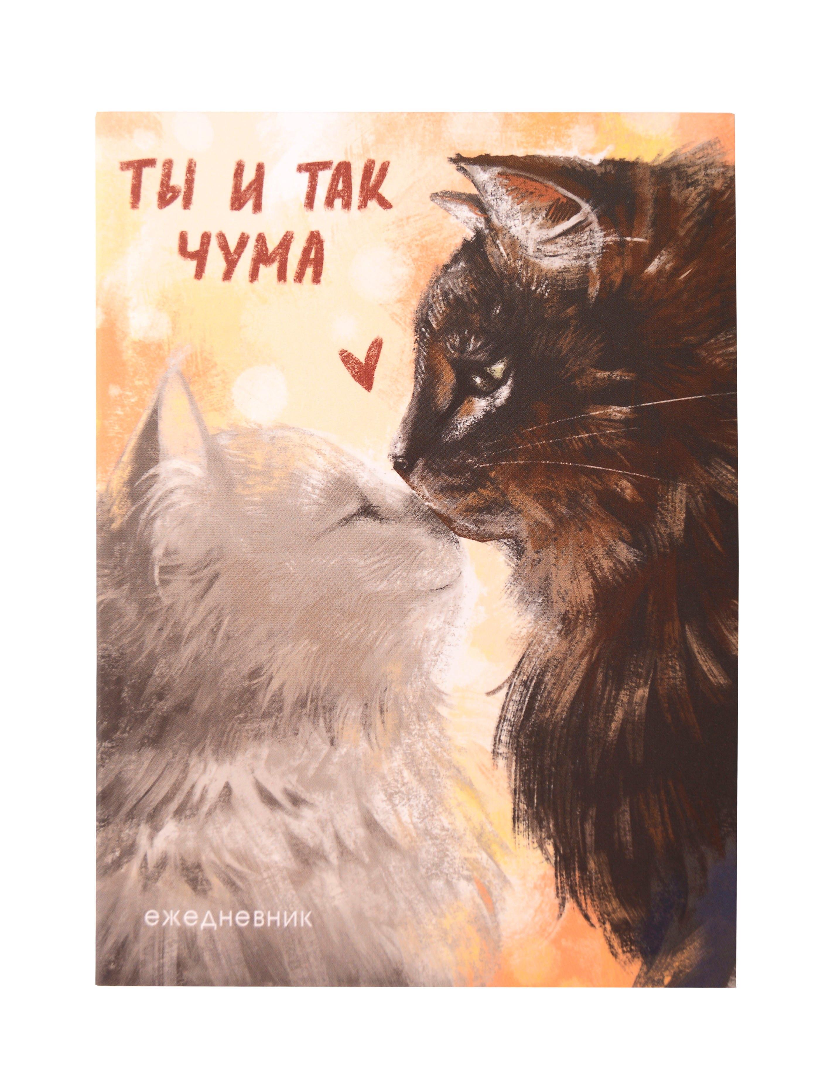 https://ndc.book24.ru/pim/products/images/56/f6/0198ae61-271e-70cc-ba9c-916f747c56f6.jpg