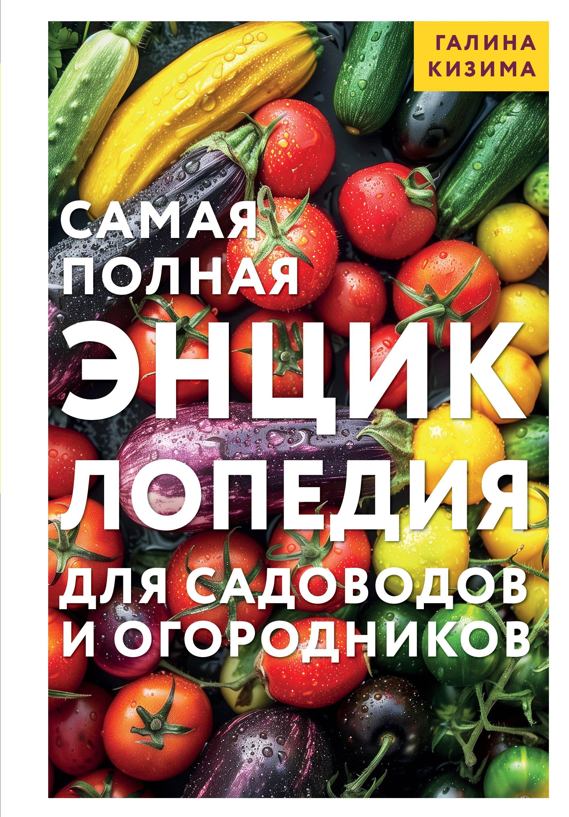 https://ndc.book24.ru/pim/products/images/58/be/019a7c5e-c68a-7f28-ba0f-a0fbad3458be.jpg