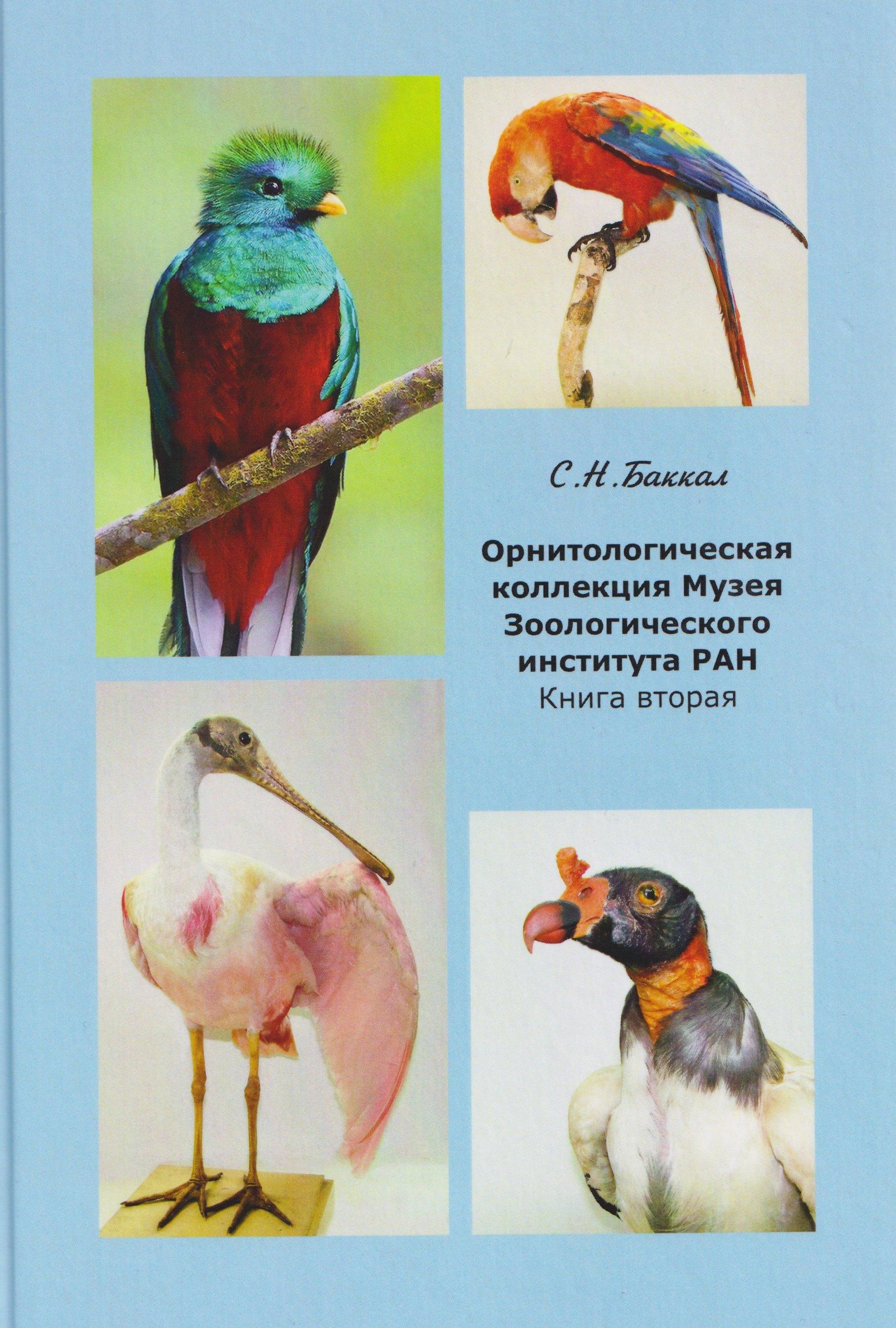 https://ndc.book24.ru/pim/products/images/5a/12/019a2bdc-a3c4-756a-a061-5e7923a55a12.jpg