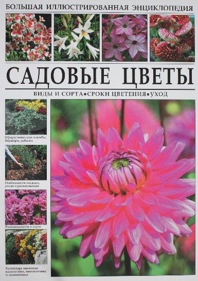 СЗКЭО | Садовые цветы. Виды и сорта, сроки цветения, уход