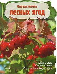https://ndc.book24.ru/pim/products/images/65/86/0199ed08-502a-765c-85a5-0d956a306586.jpg