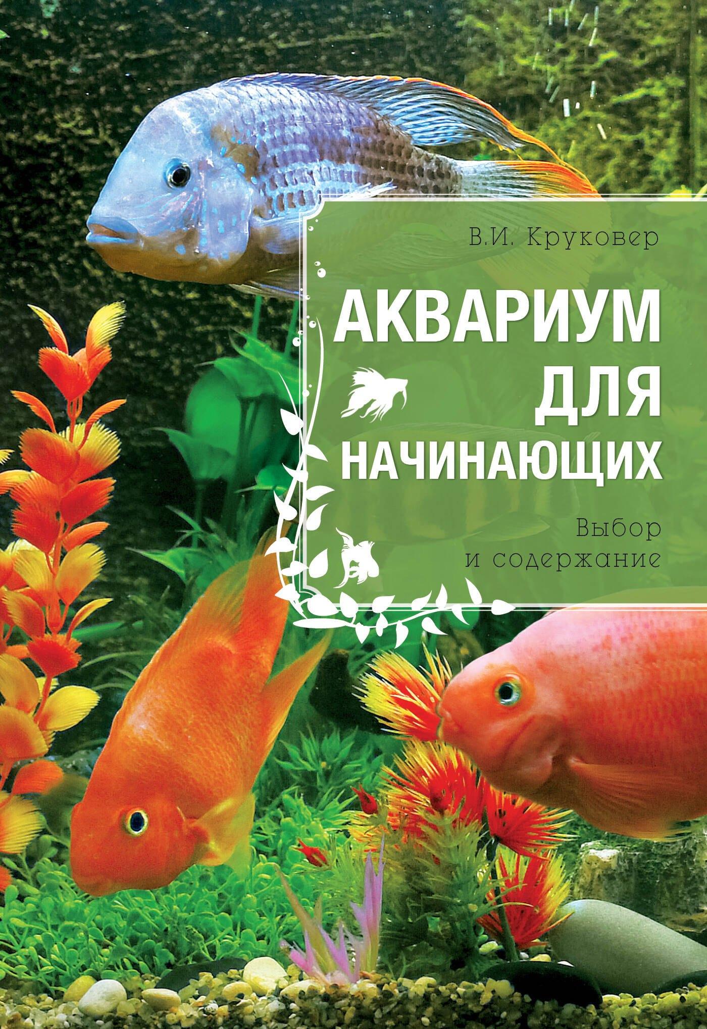 https://ndc.book24.ru/pim/products/images/67/25/01907db7-b8d0-74e8-88a8-00f6f15a6725.jpg