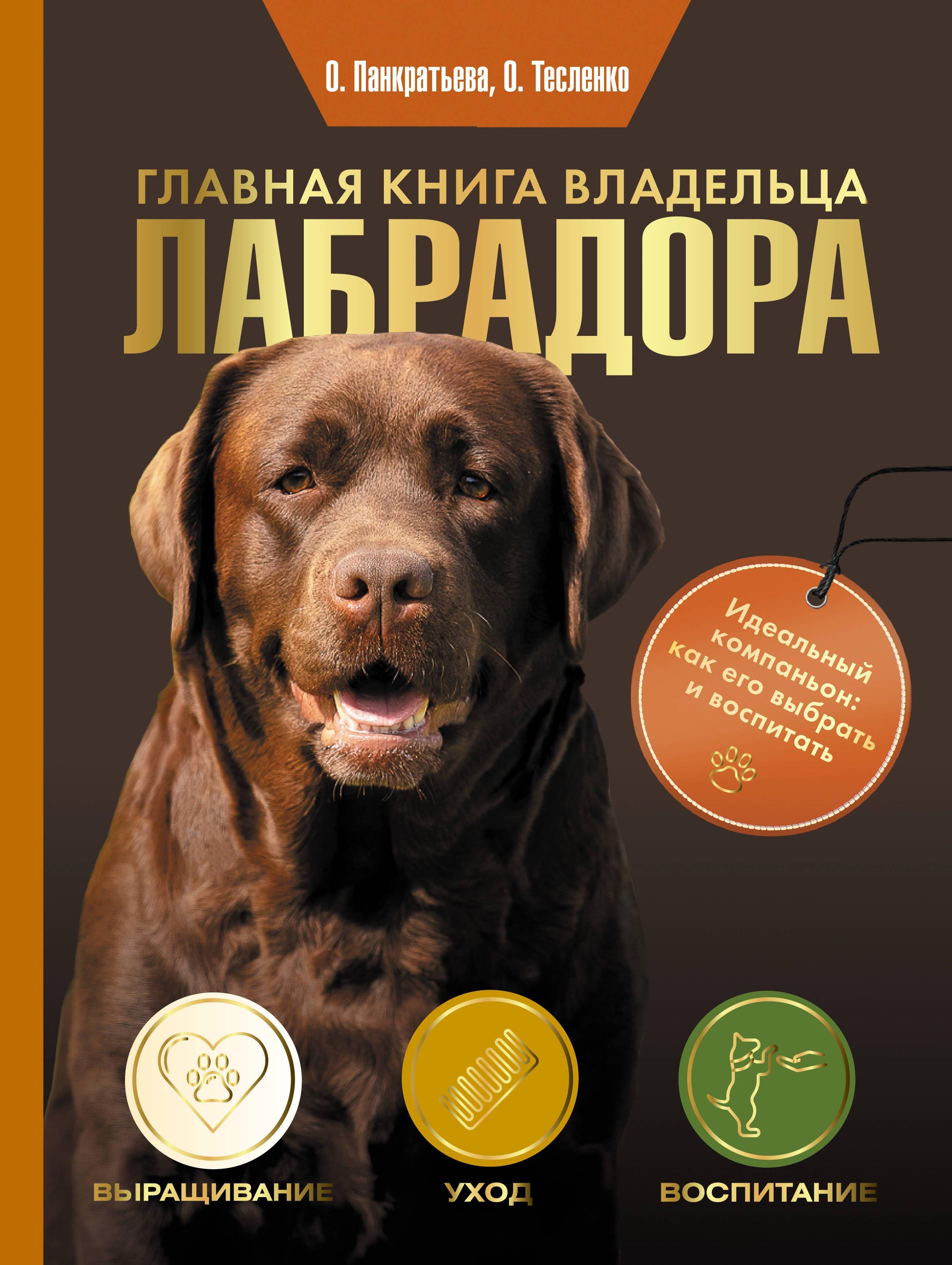 https://ndc.book24.ru/pim/products/images/72/9e/019517a8-809b-7166-9db1-67e6b6e5729e.jpg