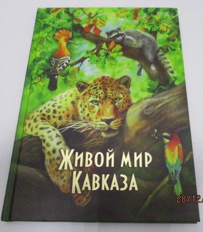 https://ndc.book24.ru/pim/products/images/73/a7/018edf07-3a89-7abd-852f-c731a97273a7.jpg