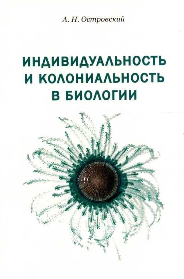 https://ndc.book24.ru/pim/products/images/74/ee/01948572-2963-7aba-9775-cc153abc74ee.jpg