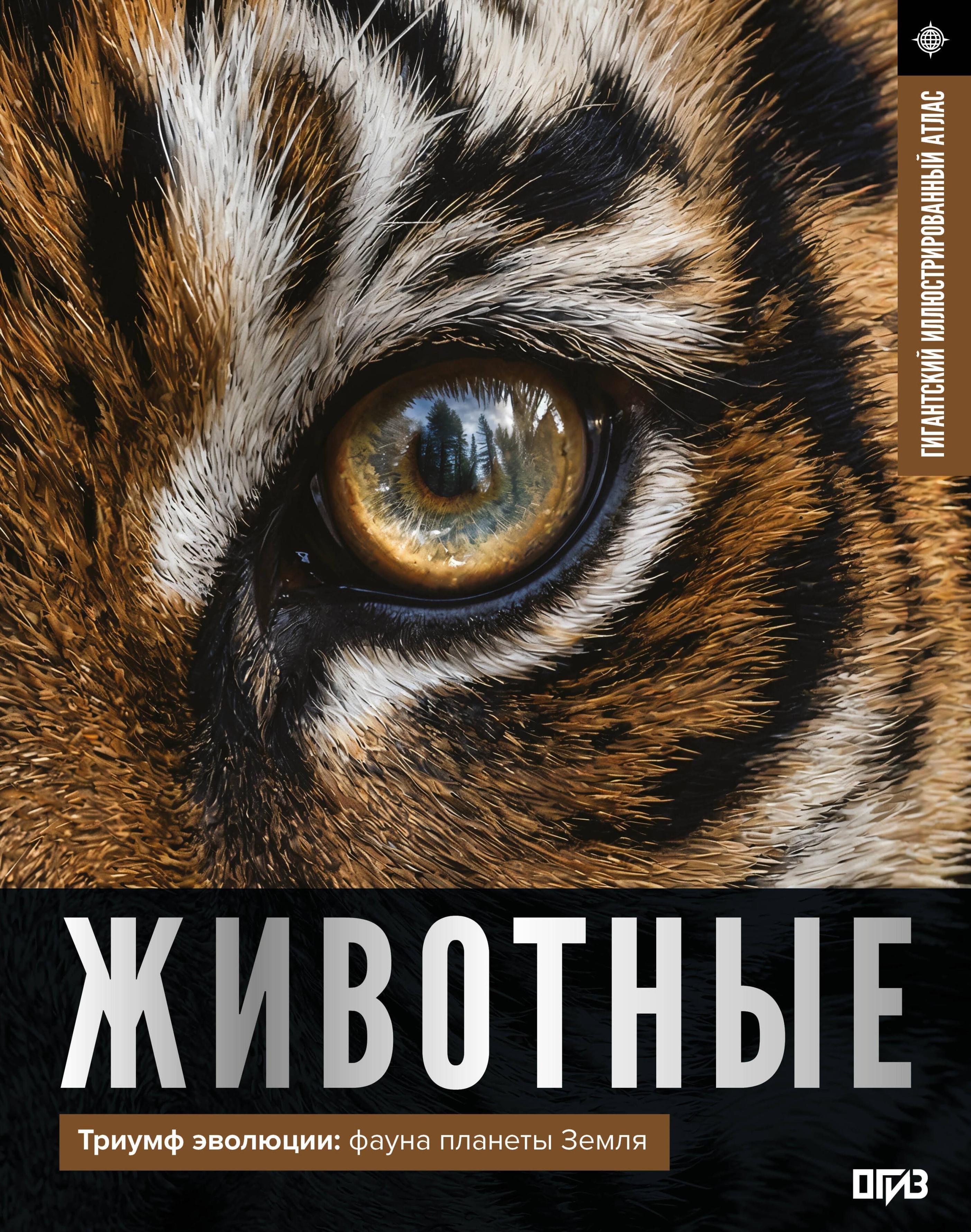 https://ndc.book24.ru/pim/products/images/76/97/019eb03a-a28e-7cd3-9b80-1236442f7697.jpg