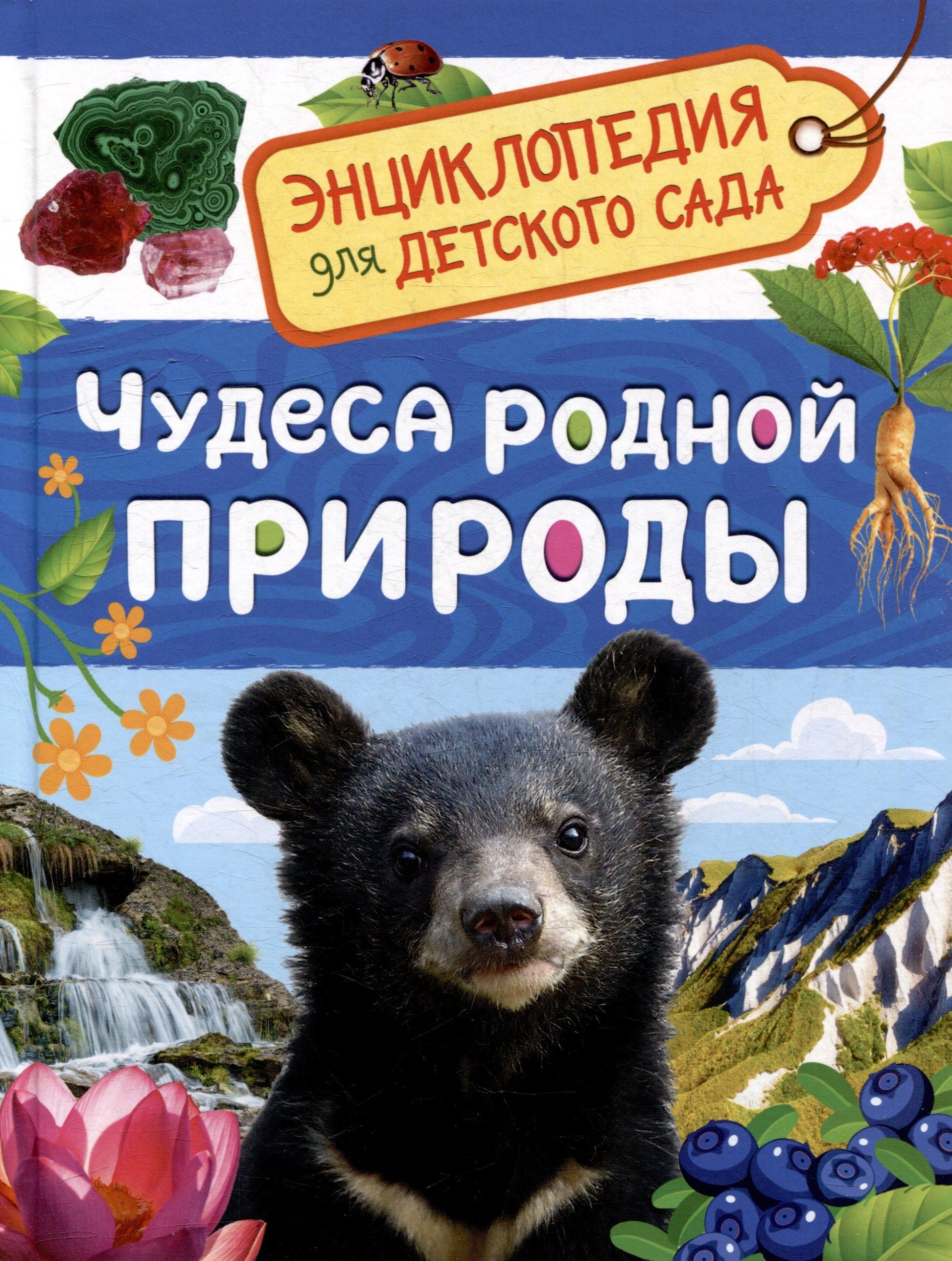 https://ndc.book24.ru/pim/products/images/7a/24/0198c84c-9c24-7e0a-8d99-a492fa167a24.jpg