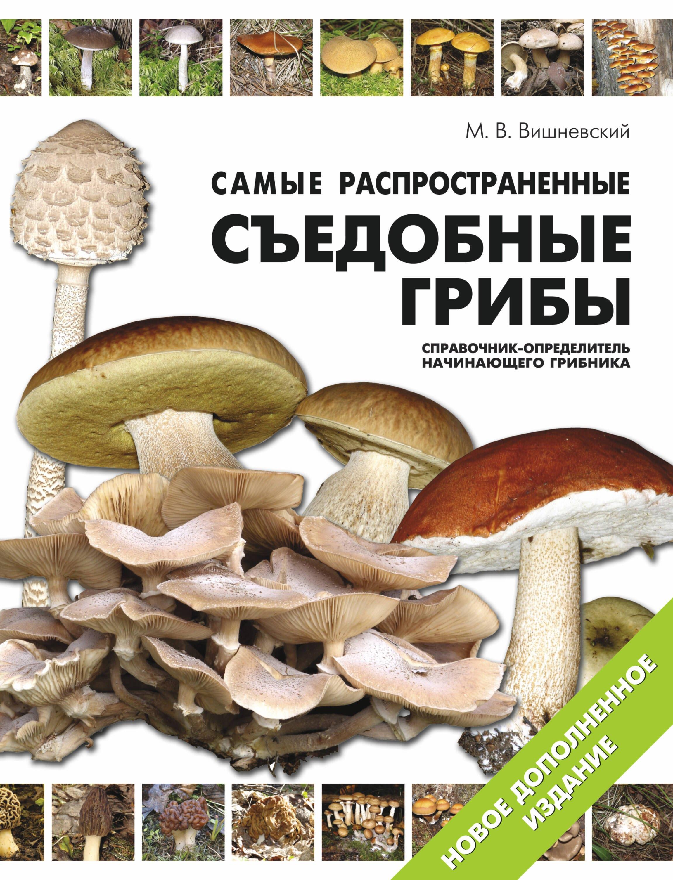 https://ndc.book24.ru/pim/products/images/7b/6c/0199e928-fcdc-75c9-ab97-c99a778c7b6c.jpg