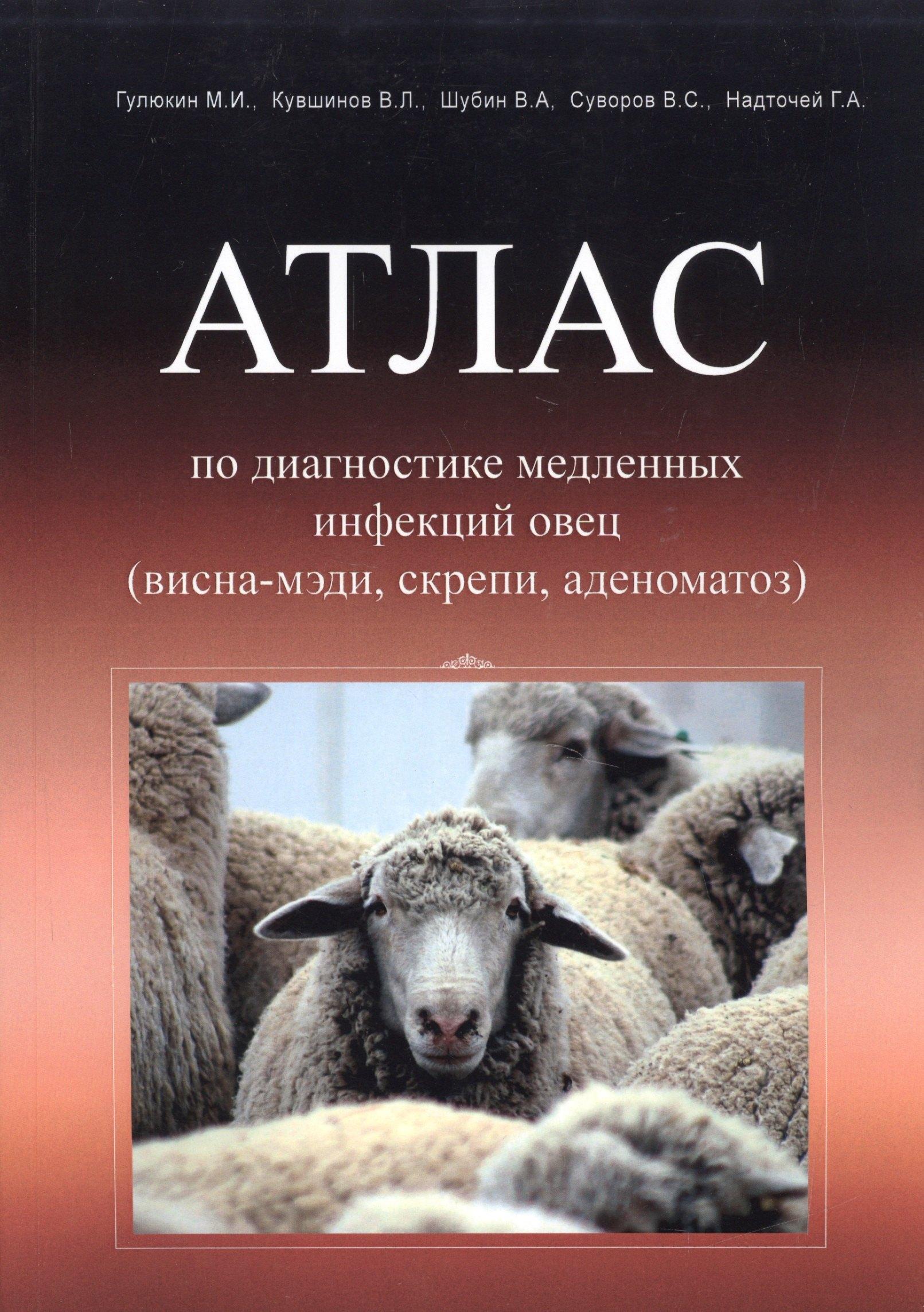 ЗооВетКнига | Атлас по диагностике медленных инфекций овец (висна-мэди, скрепи, аденоматоз)