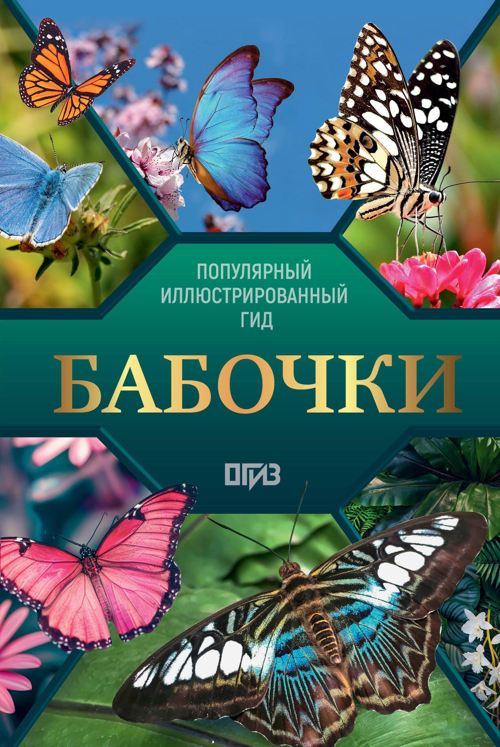 https://ndc.book24.ru/pim/products/images/7e/dd/0196f196-f376-7360-8ad8-4441e3027edd.jpg