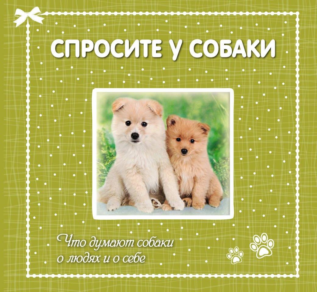 https://ndc.book24.ru/pim/products/images/81/16/019392e0-0da9-7c18-8b86-74dd8f278116.jpg