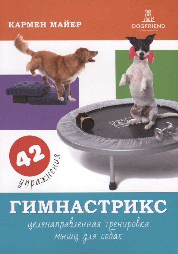 https://ndc.book24.ru/pim/products/images/85/c1/018ee1d2-4973-7aea-bd08-a7f3205185c1.jpg