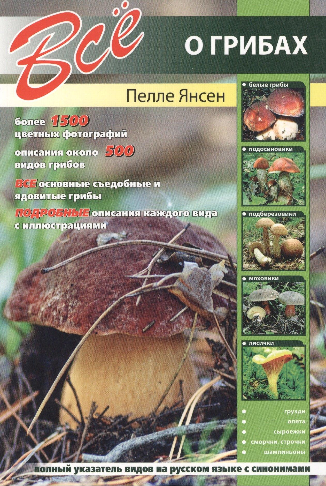 Кристалл | Все о грибах.
